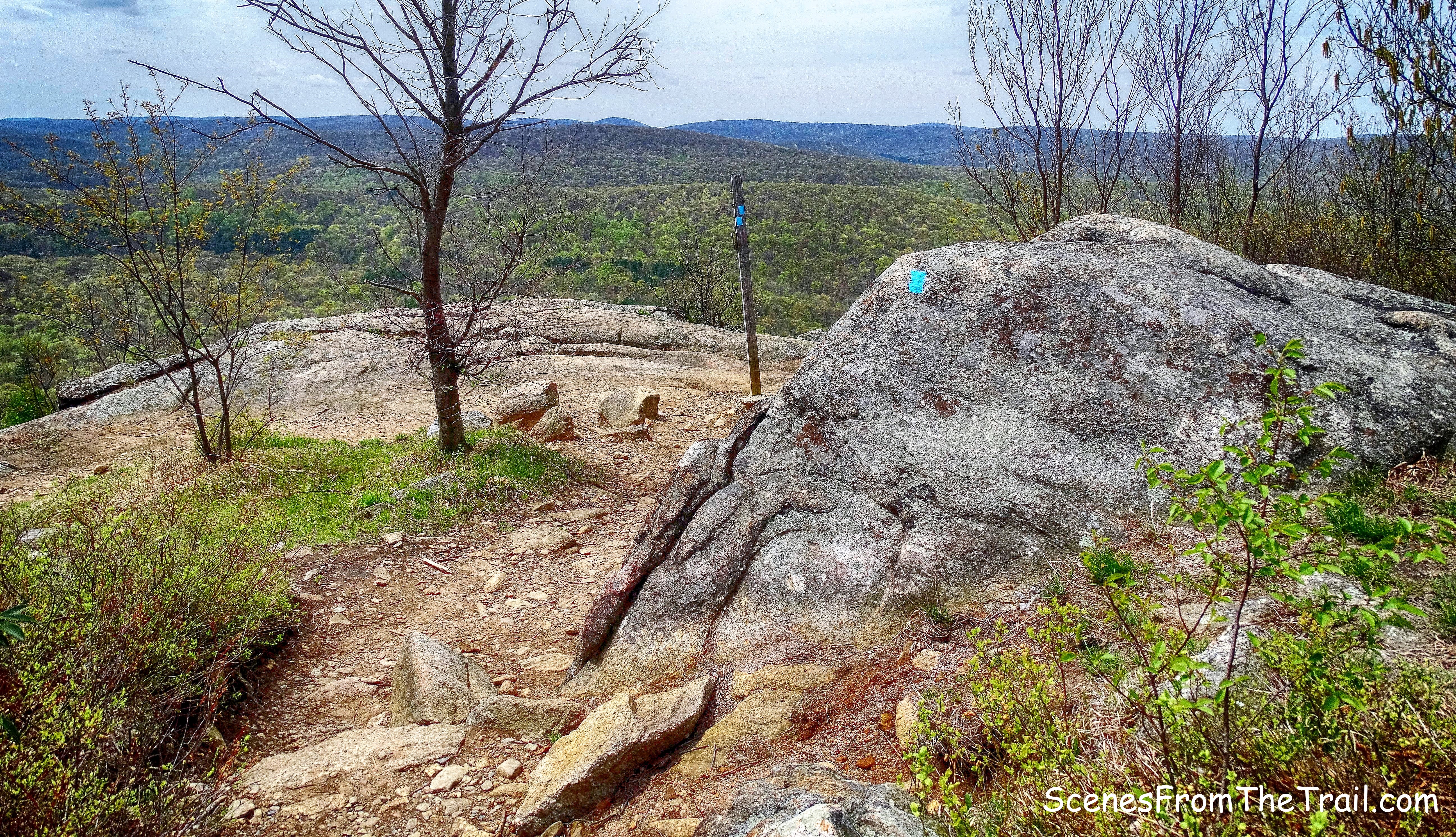blue-blazed Timp-Torne Trail