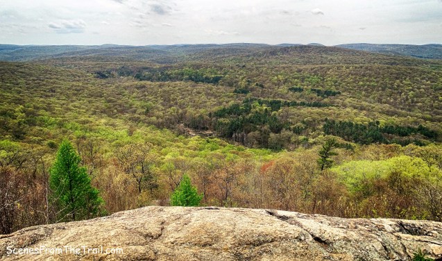 view west from Timp-Torne Trail