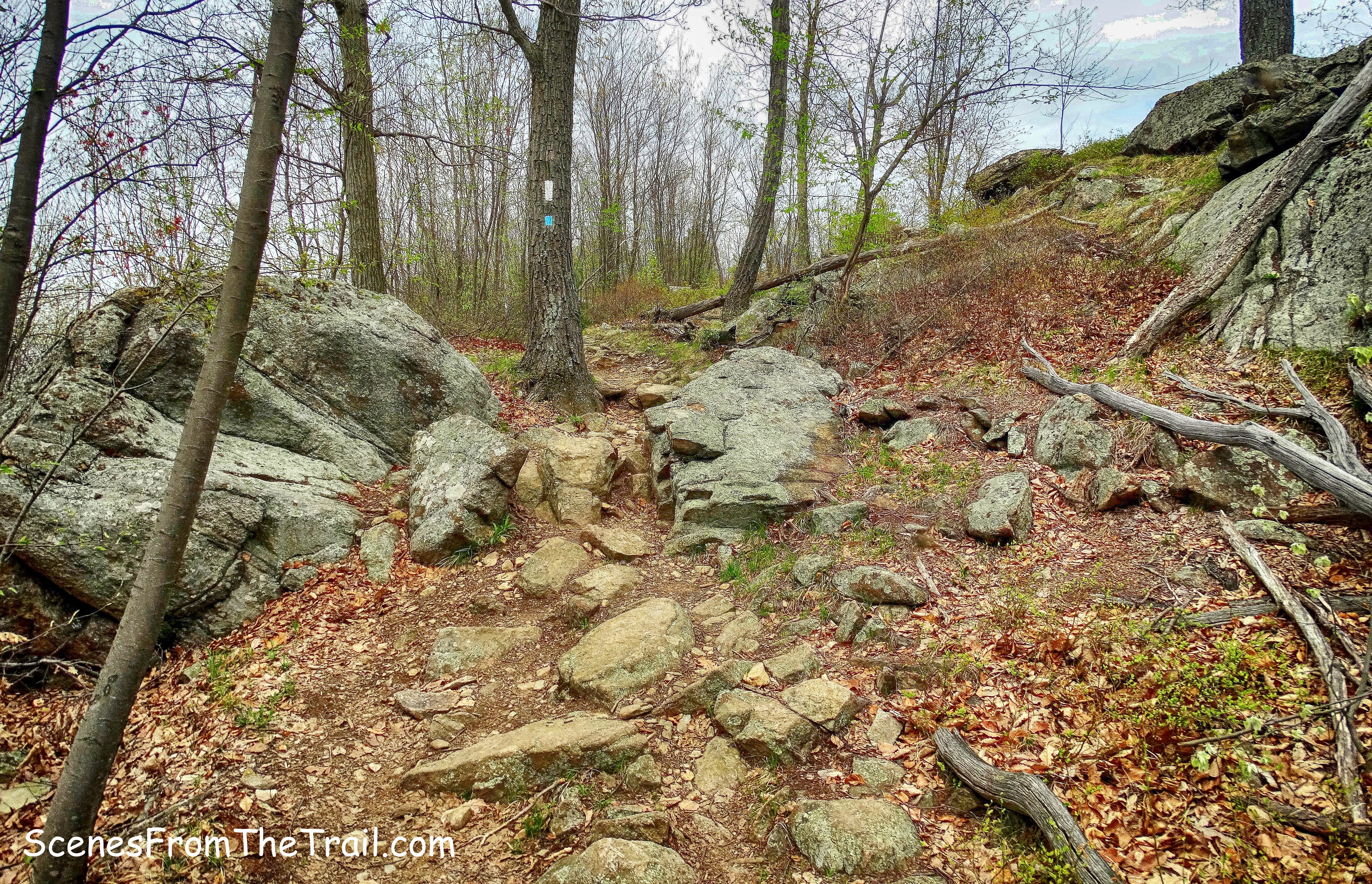 Timp-Torne Trail