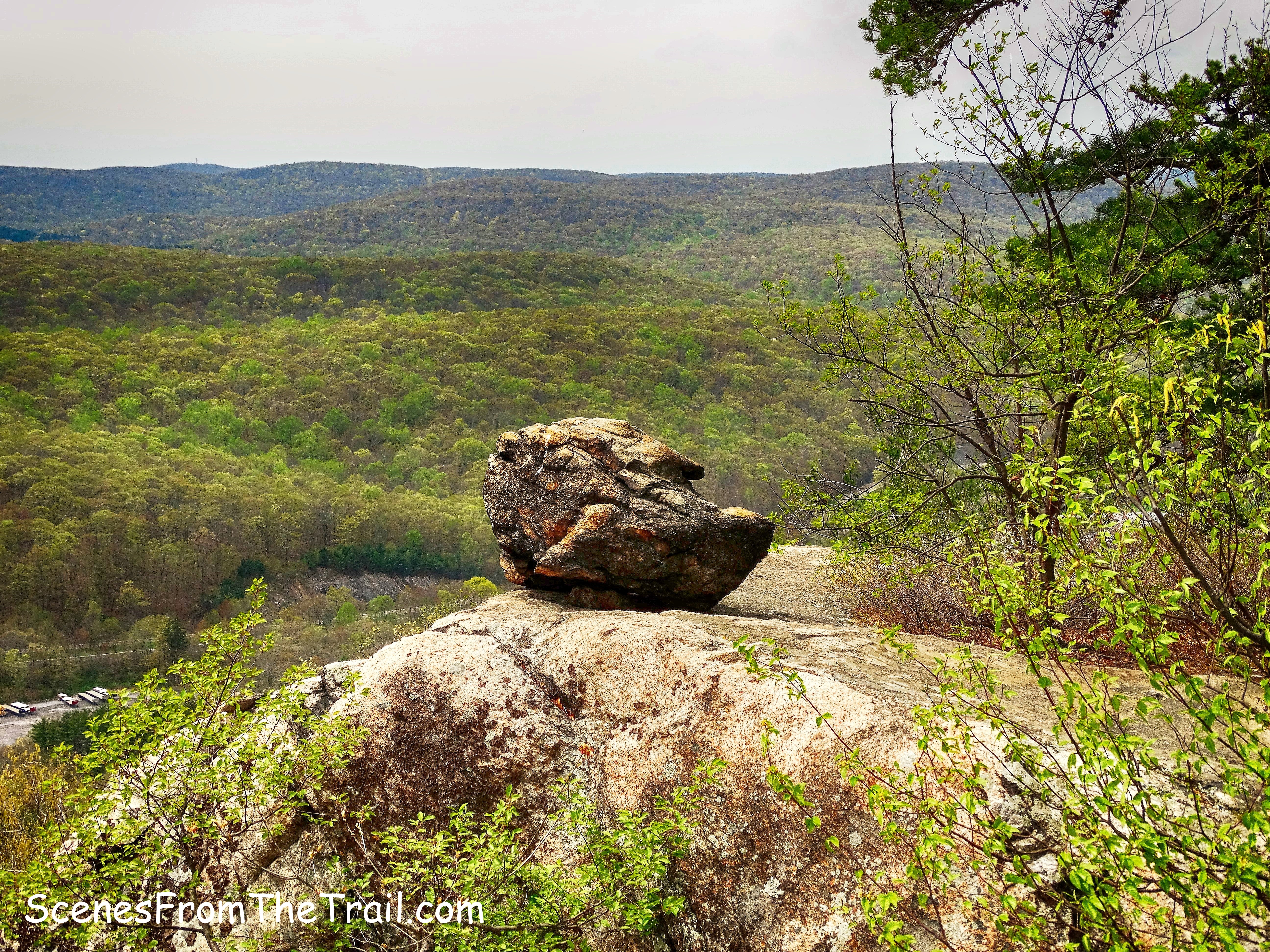 strange looking boulder