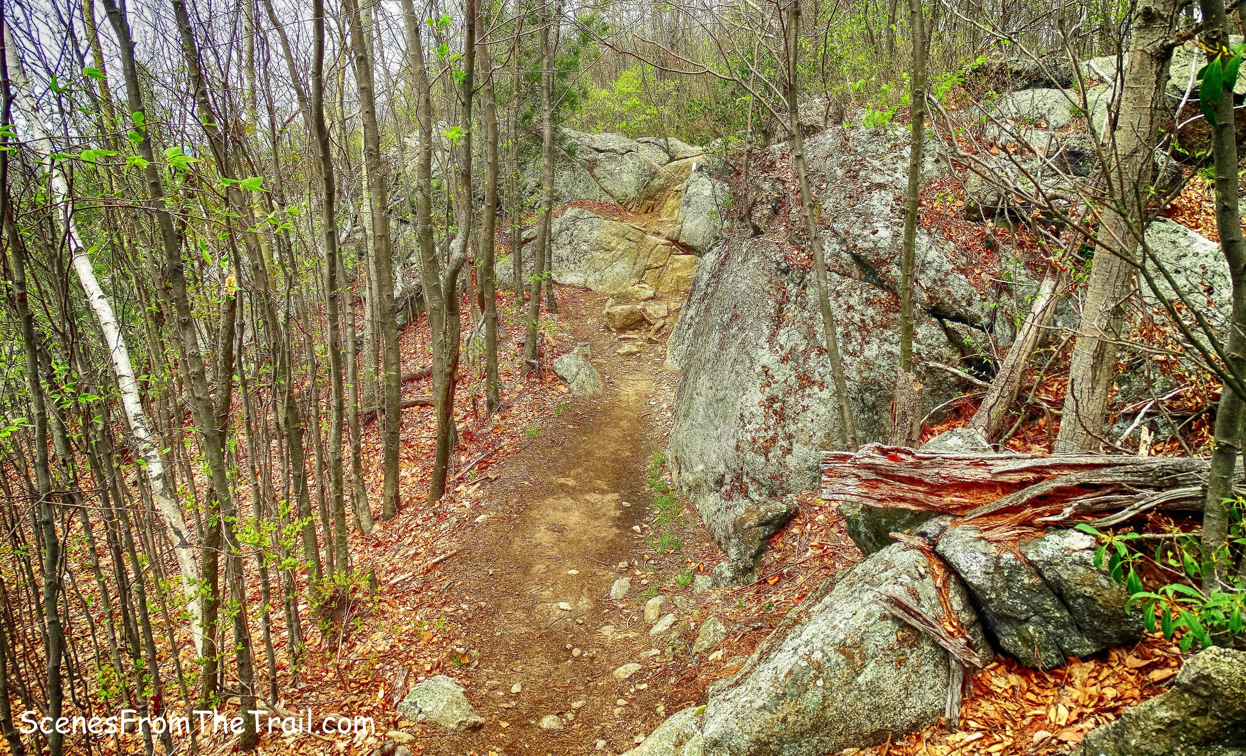 Timp-Torne Trail