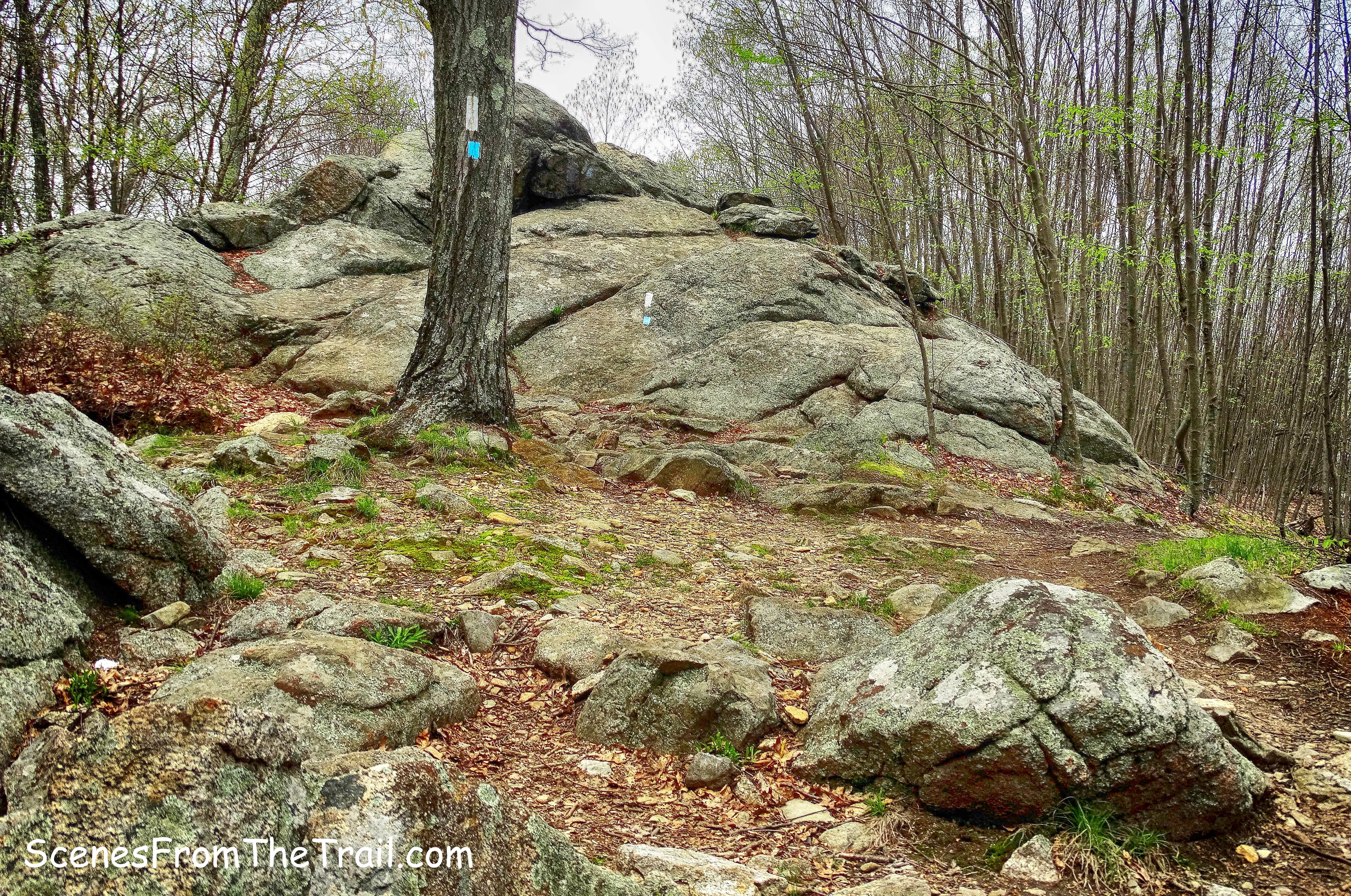Timp-Torne Trail
