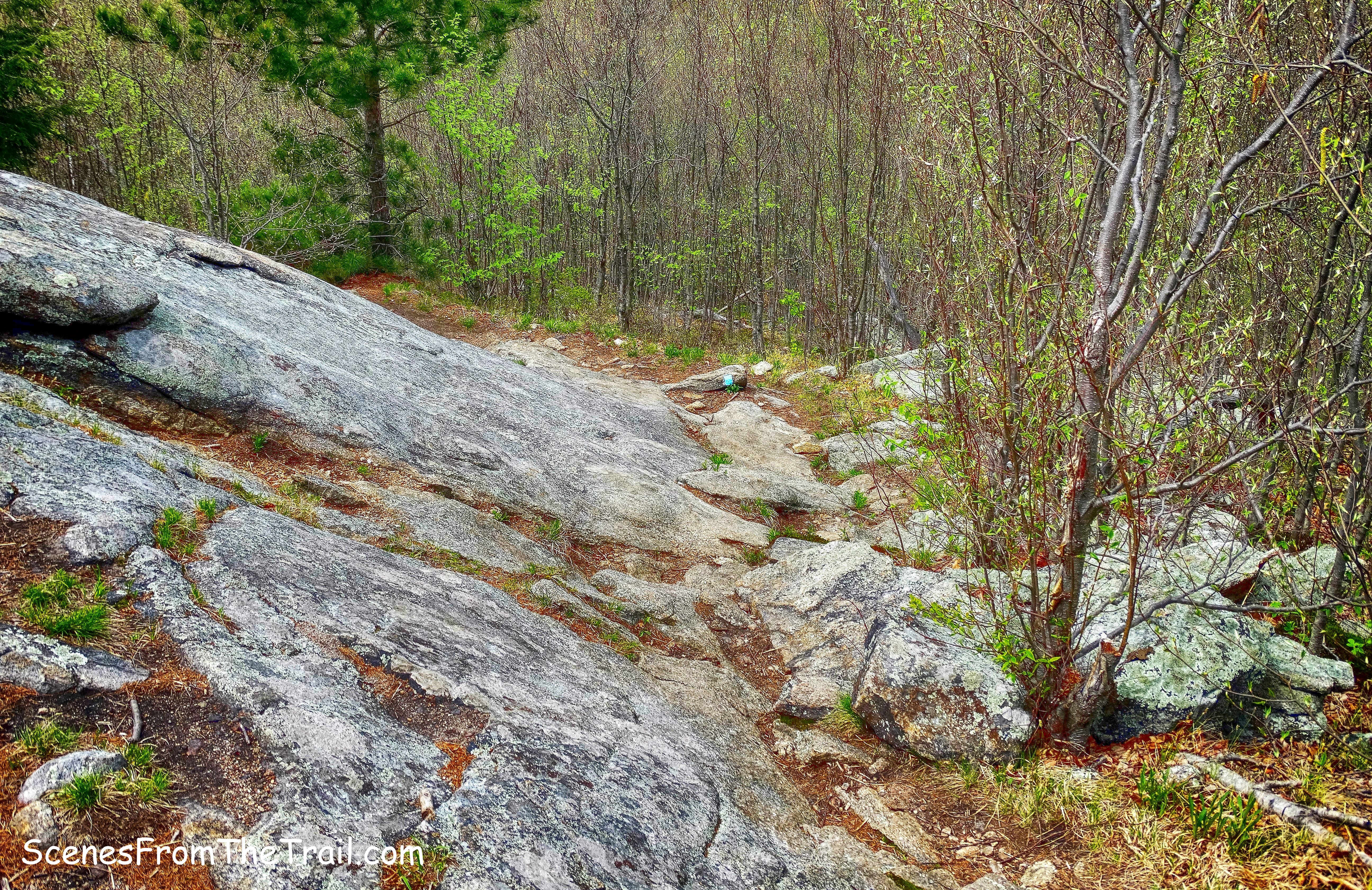 Timp-Torne Trail
