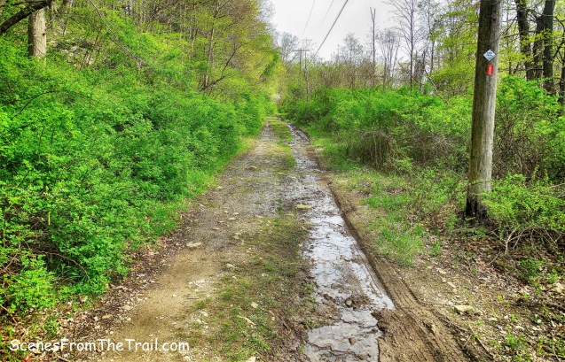 Beechy Bottom East Road