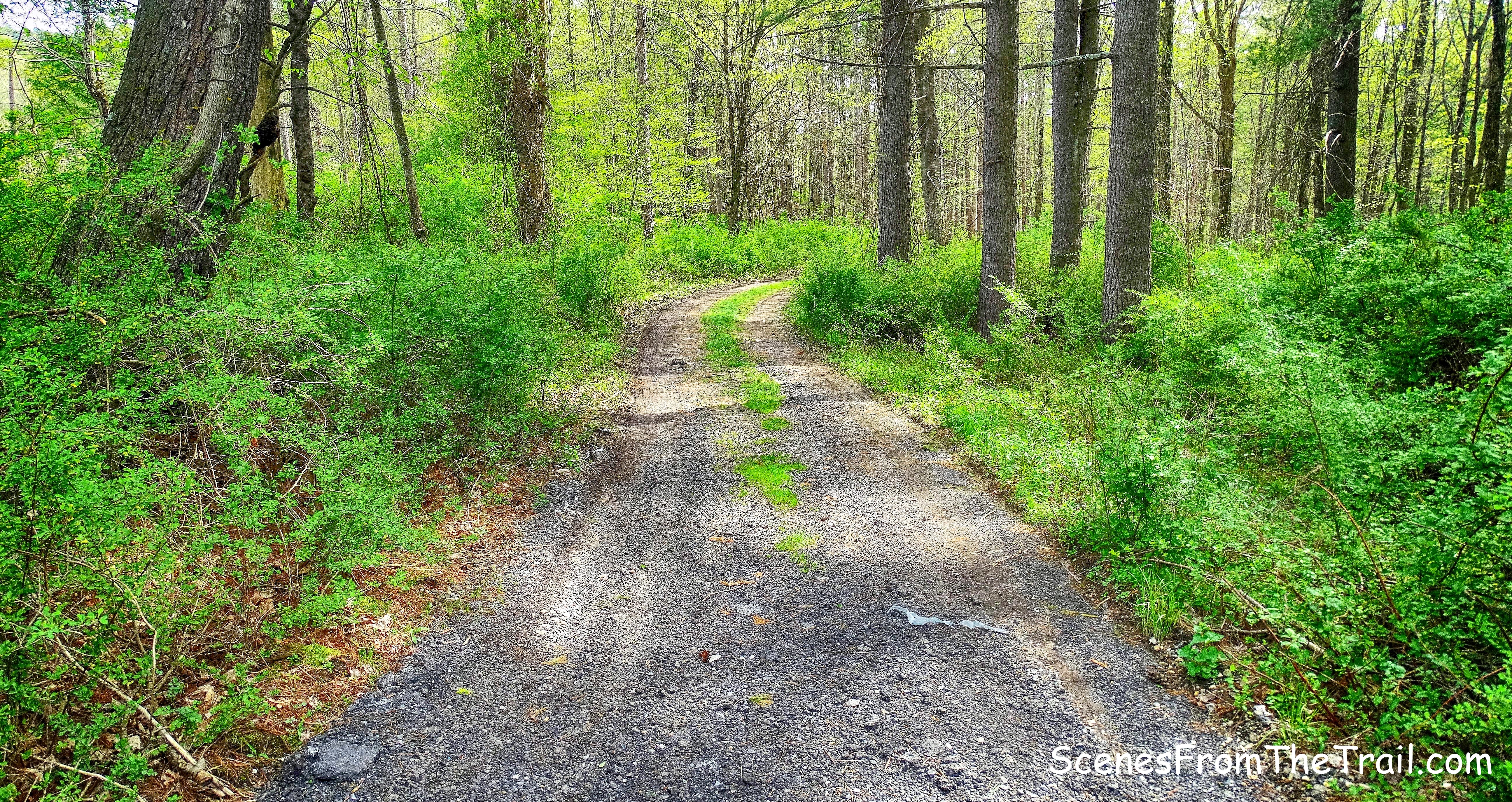 unpaved road