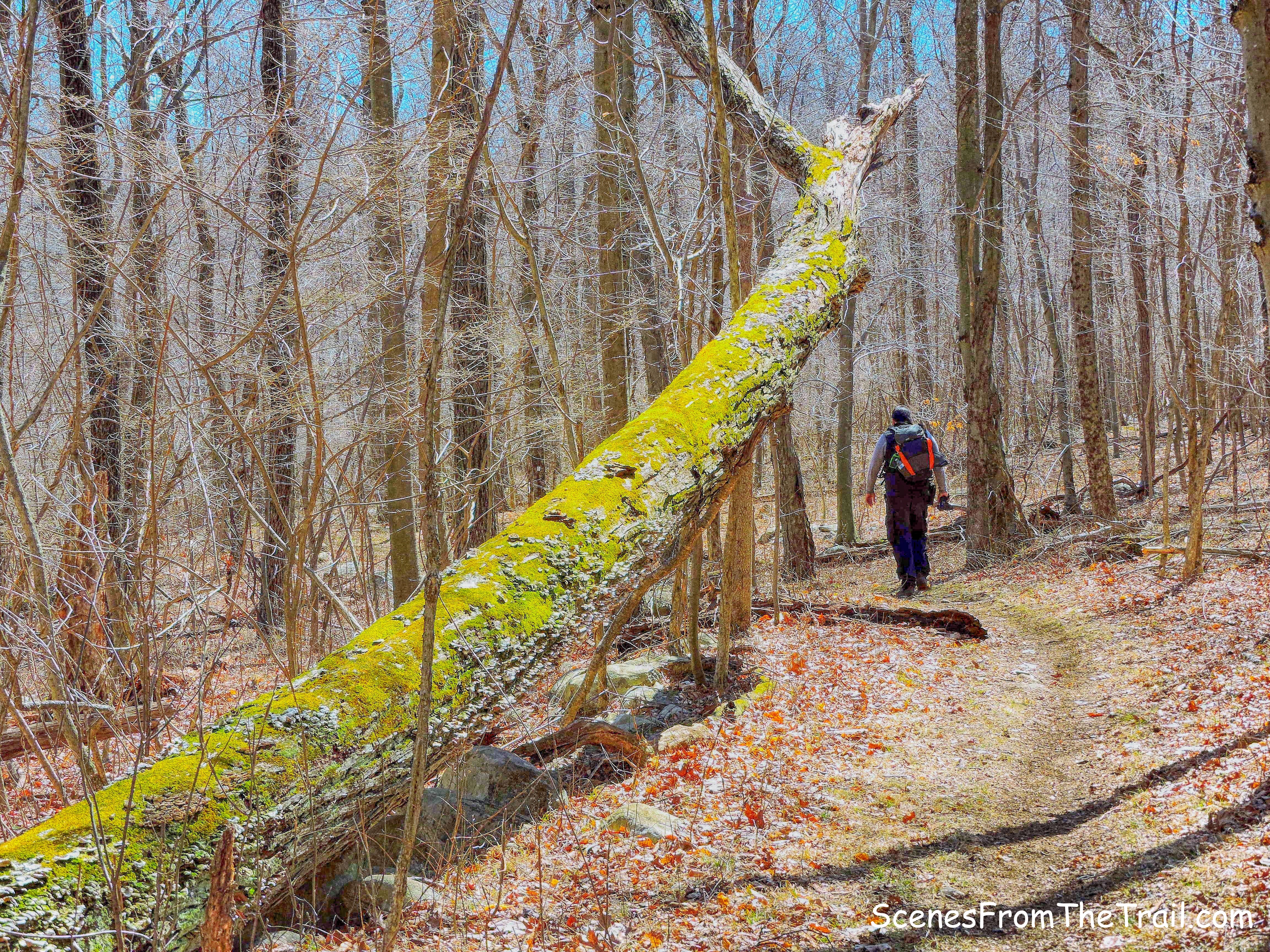 Take a hike!