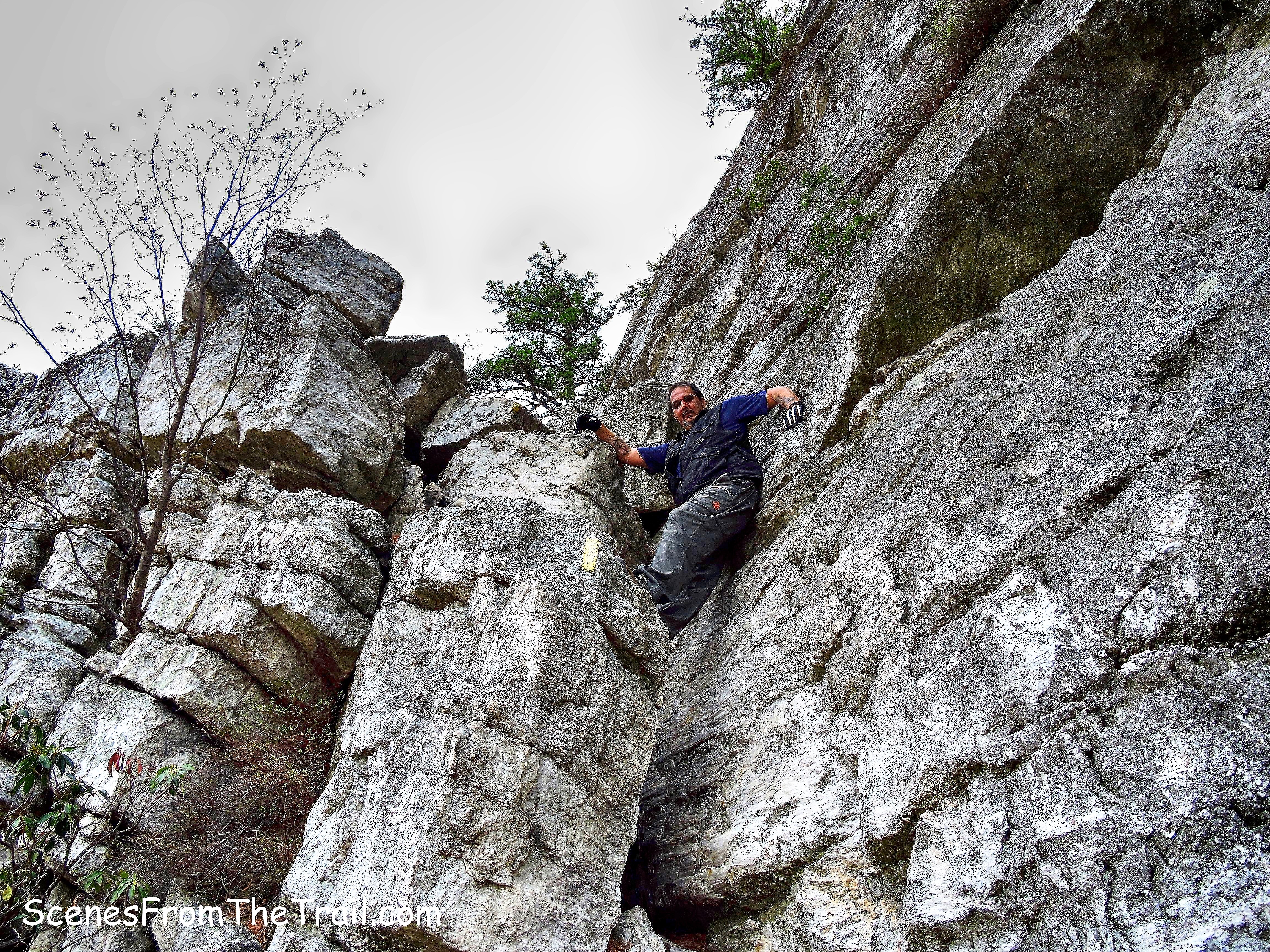 refrigerator rock