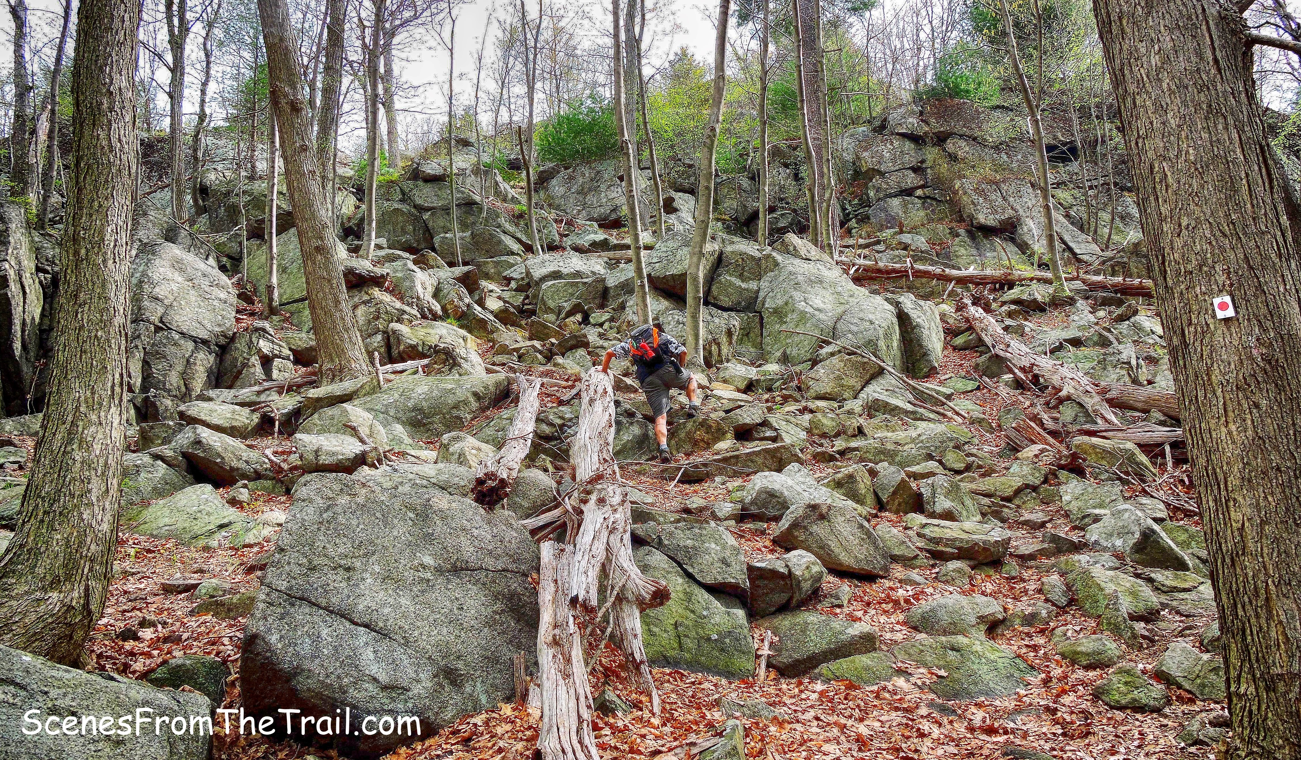 Ramapo-Dunderberg (R-D) Trail