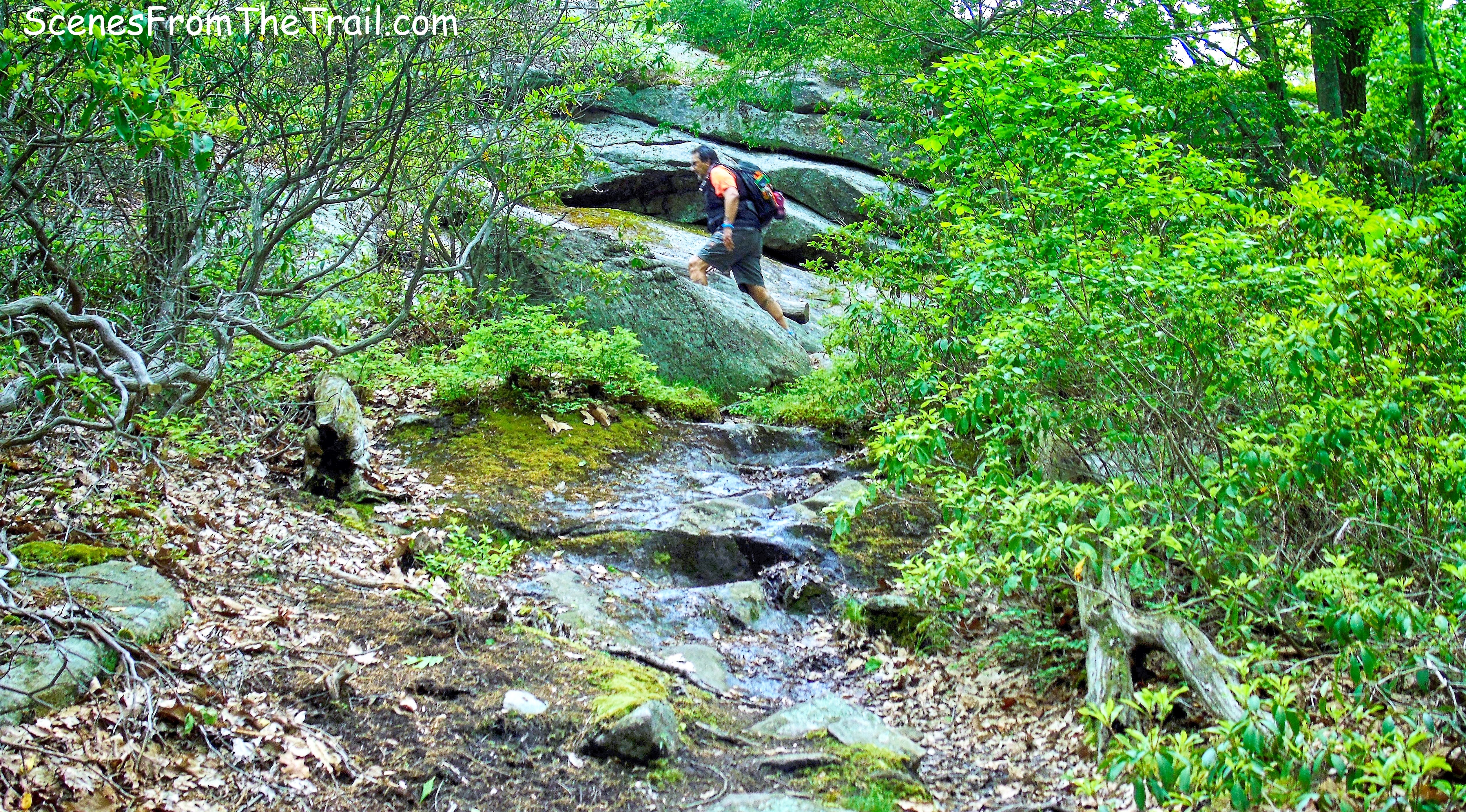 Take a hike!
