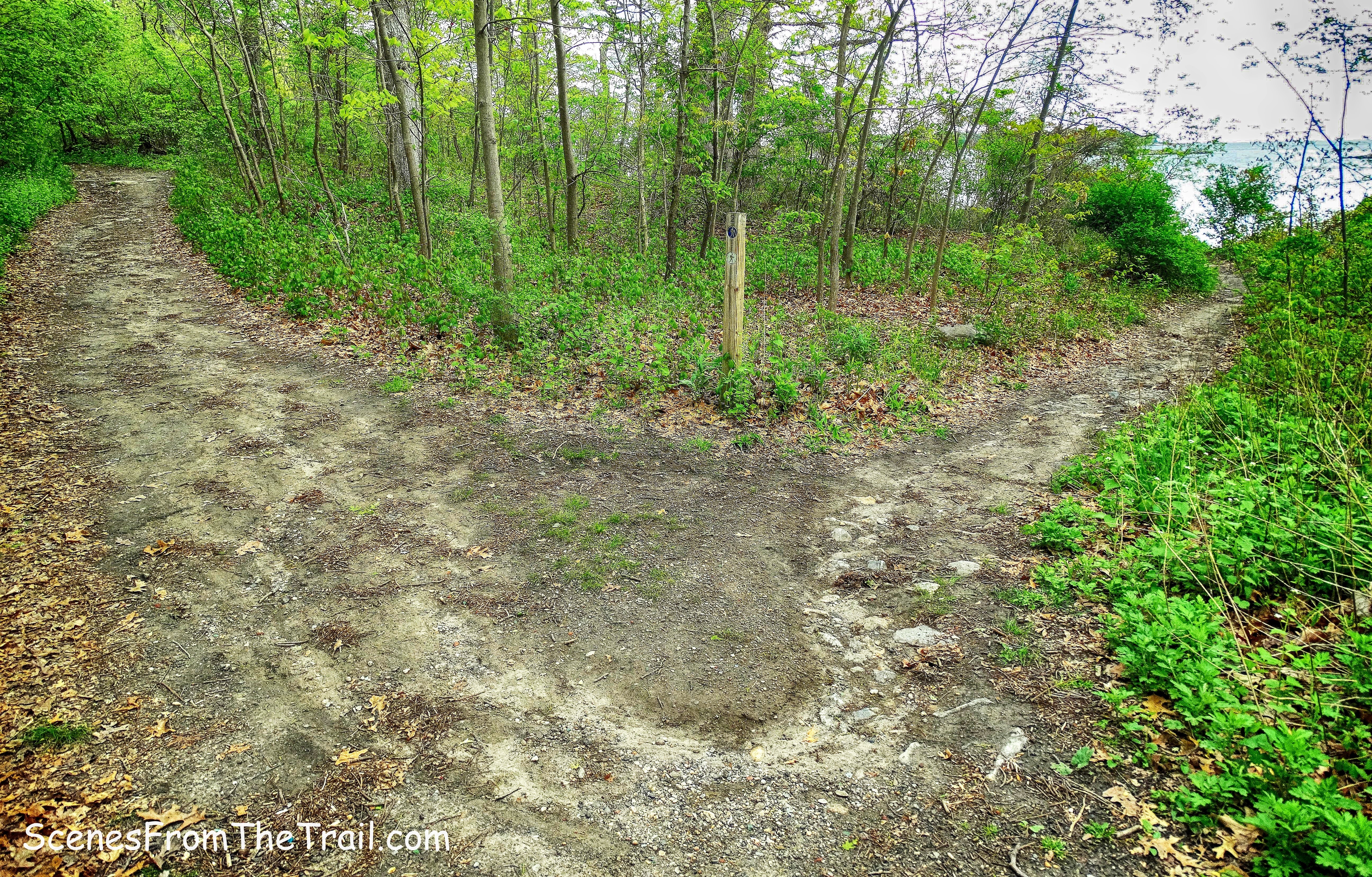 Kazimiroff Nature Trail