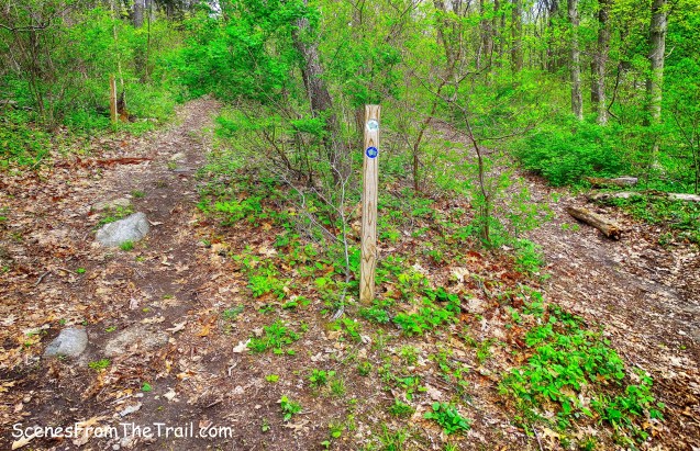 Kazimiroff Nature Trail