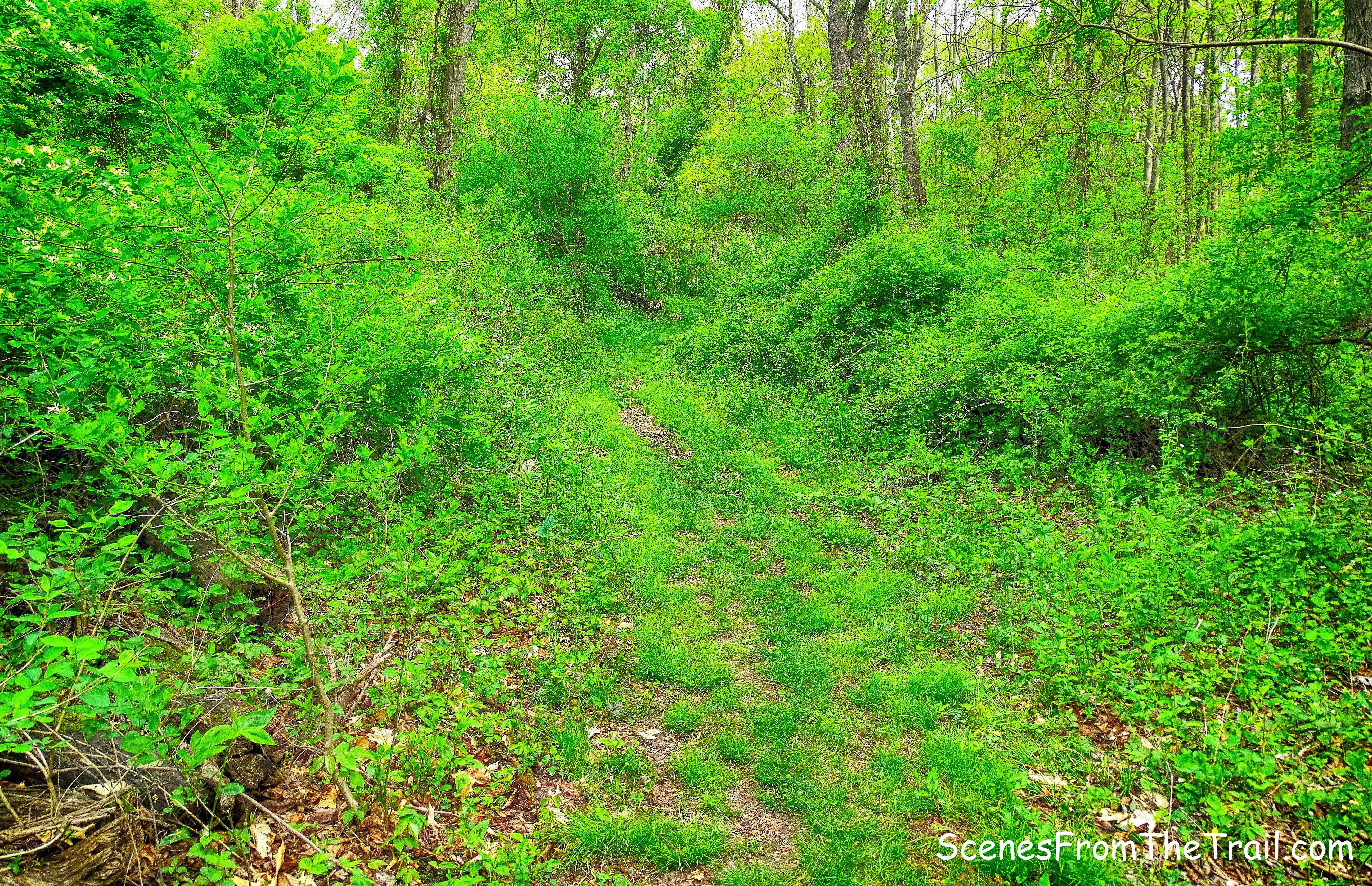 Kazimiroff Nature Trail