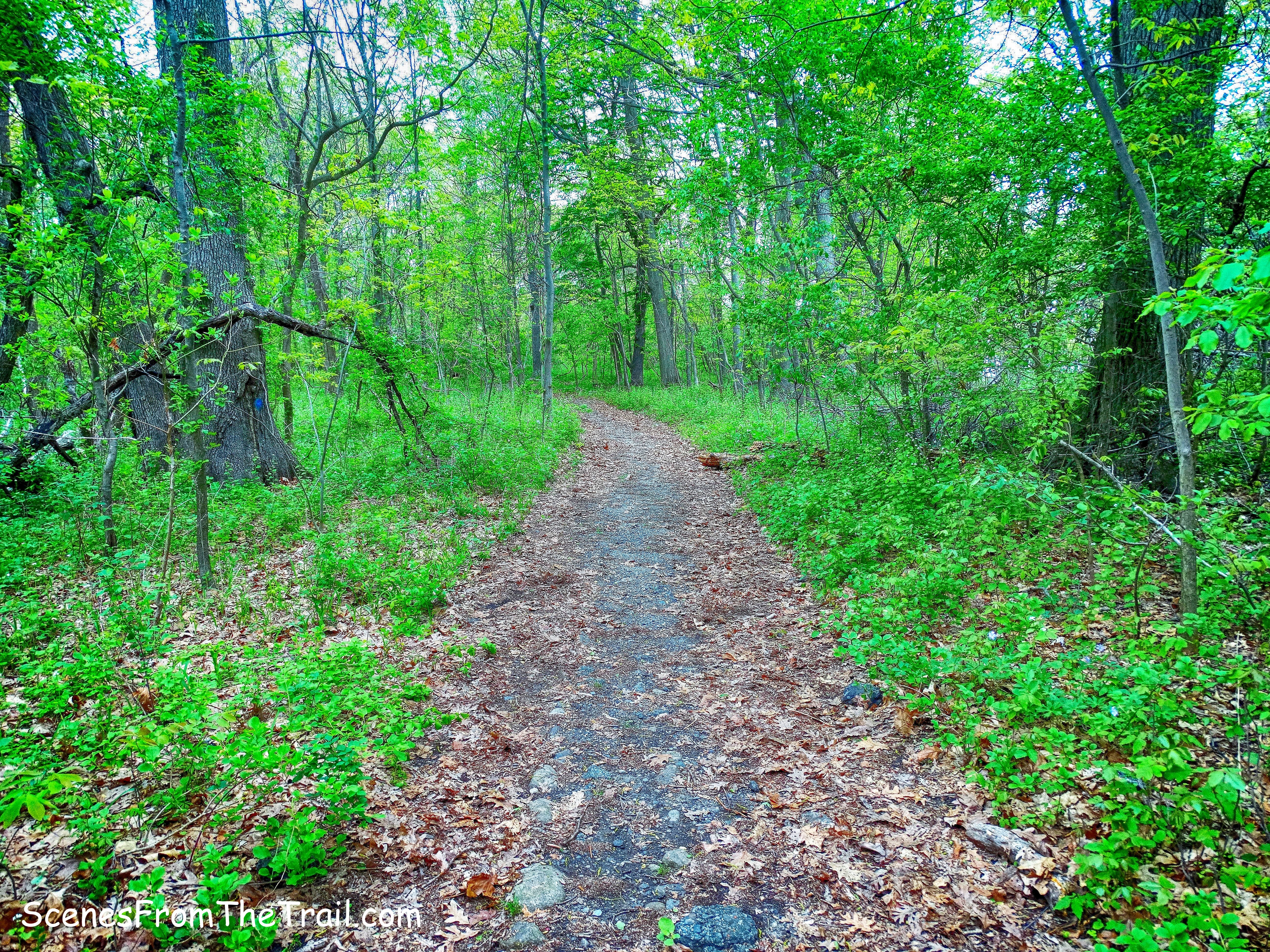 Kazimiroff Nature Trail
