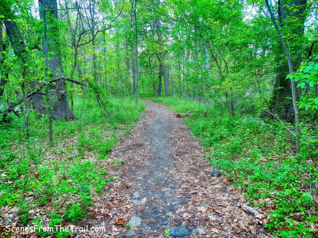 Kazimiroff Nature Trail
