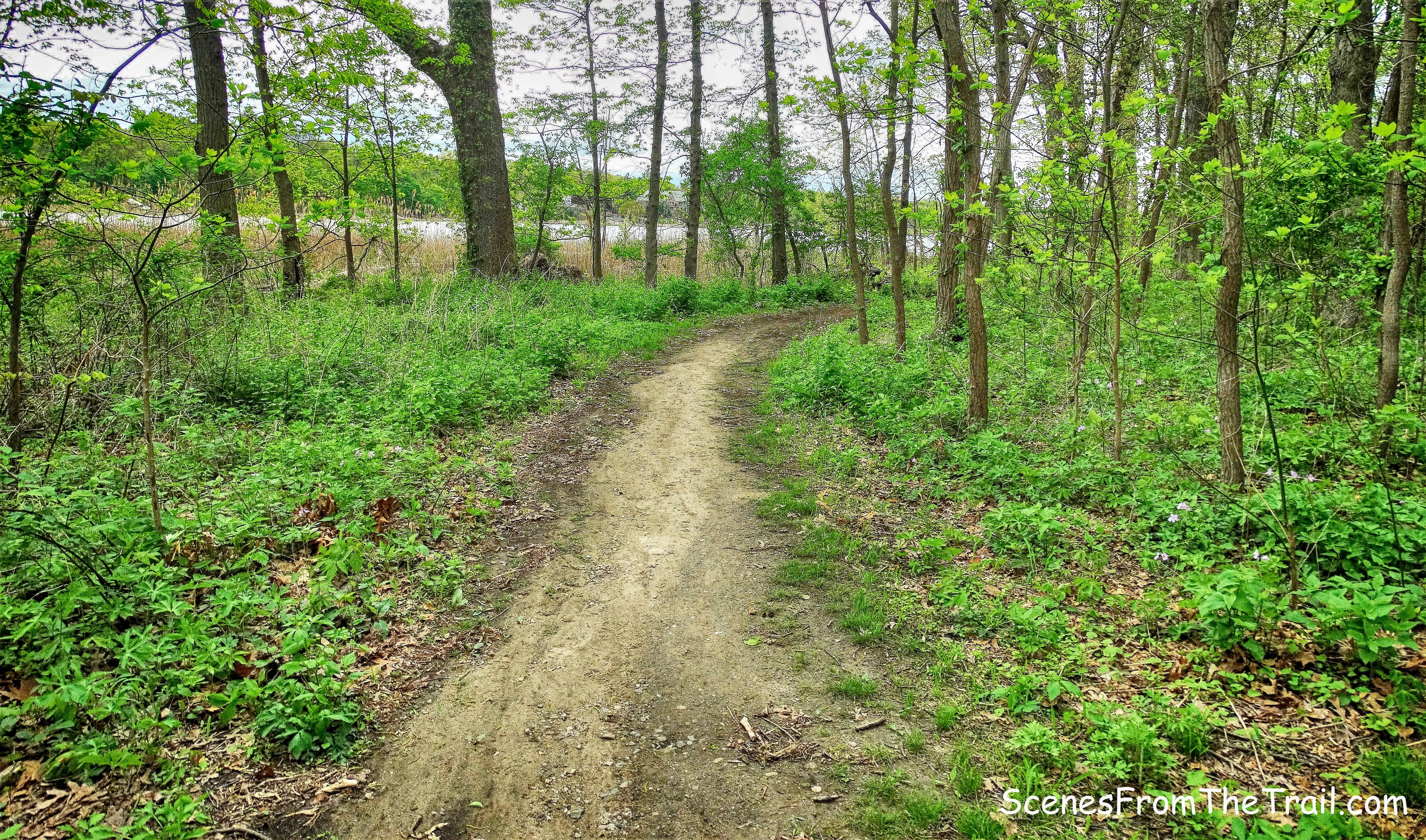 Kazimiroff Nature Trail