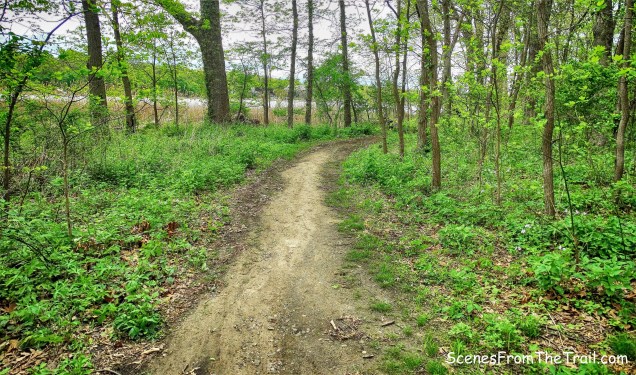 Kazimiroff Nature Trail