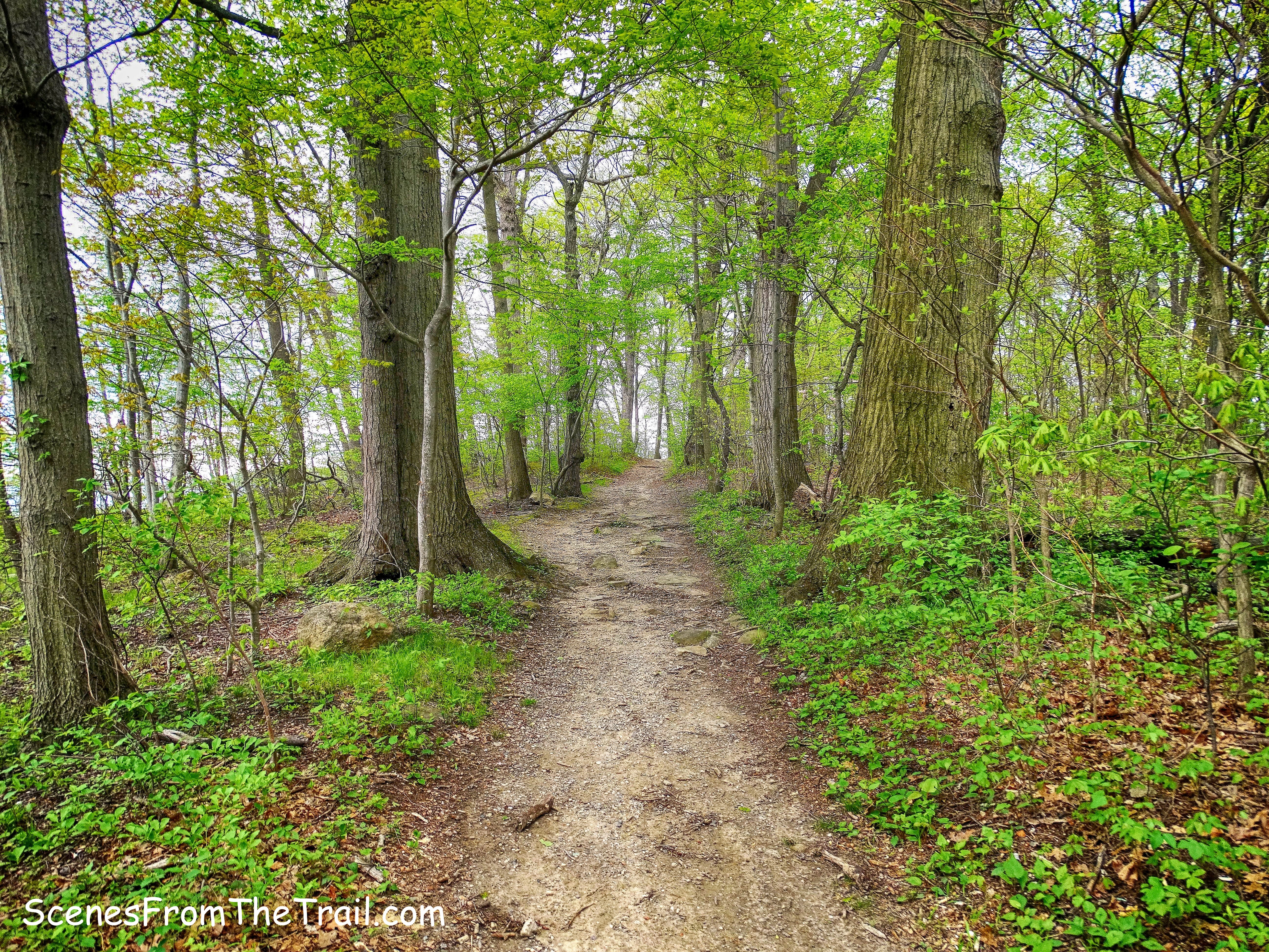 Kazimiroff Nature Trail