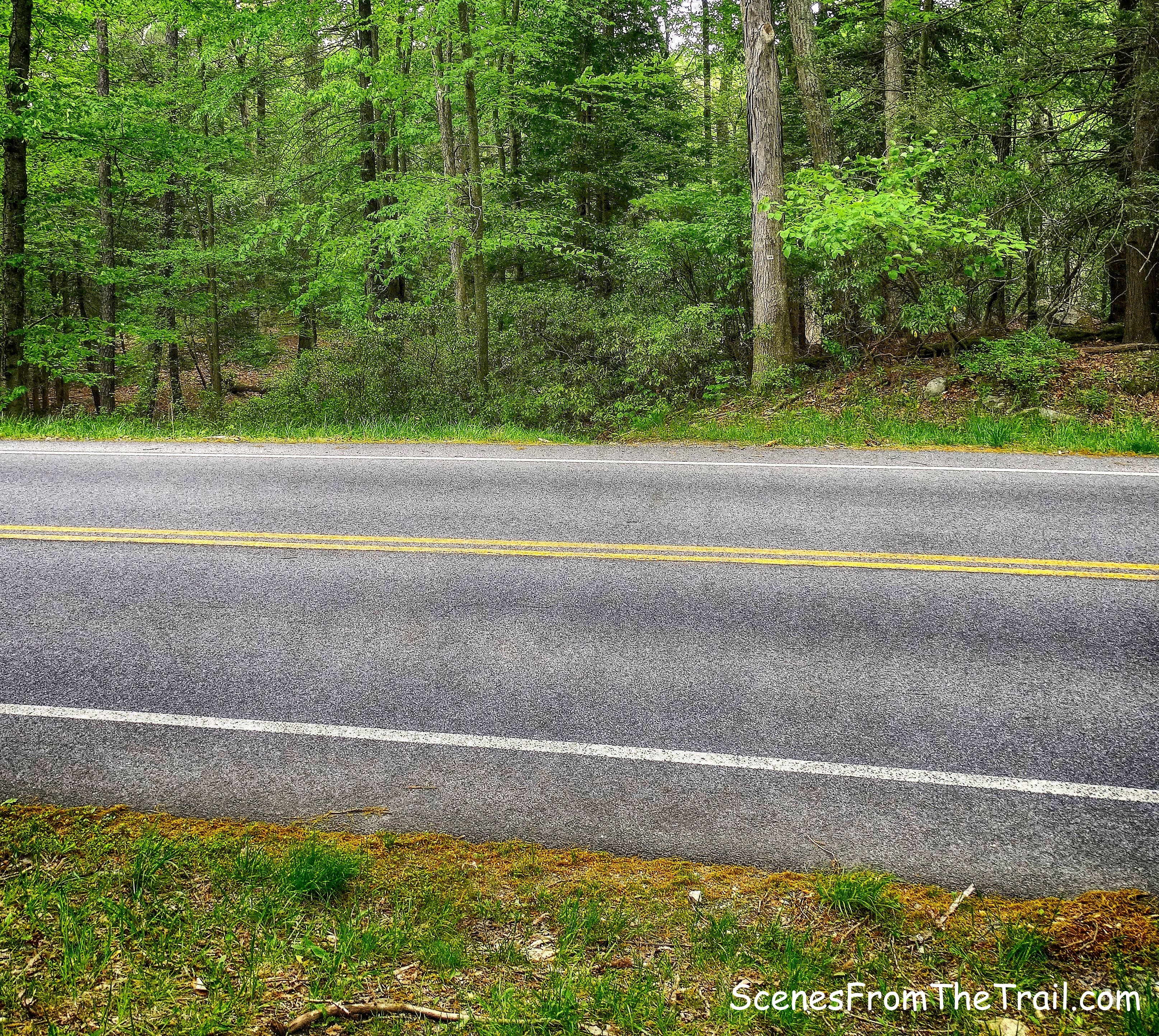 County Road 106