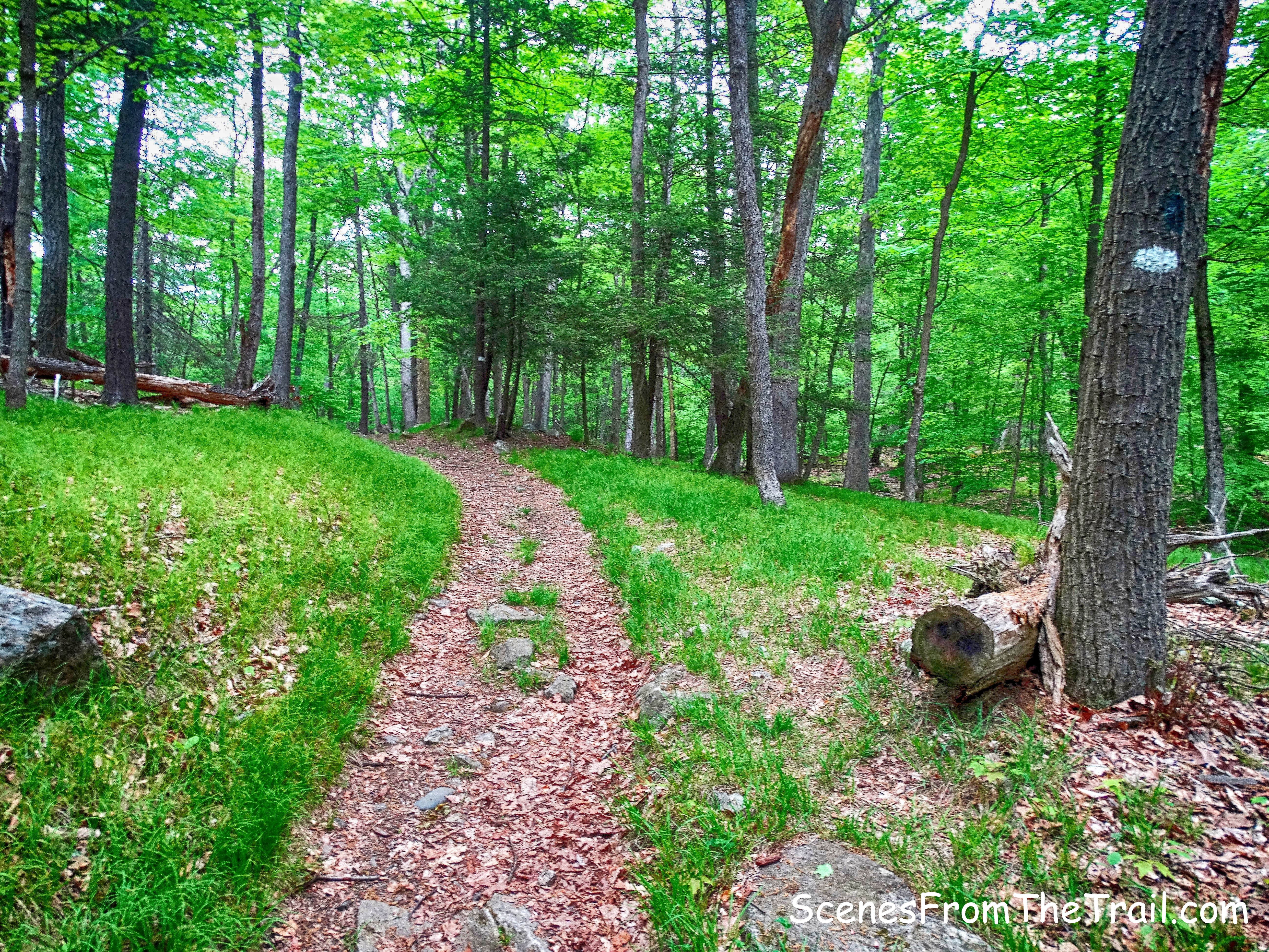 White Bar Trail