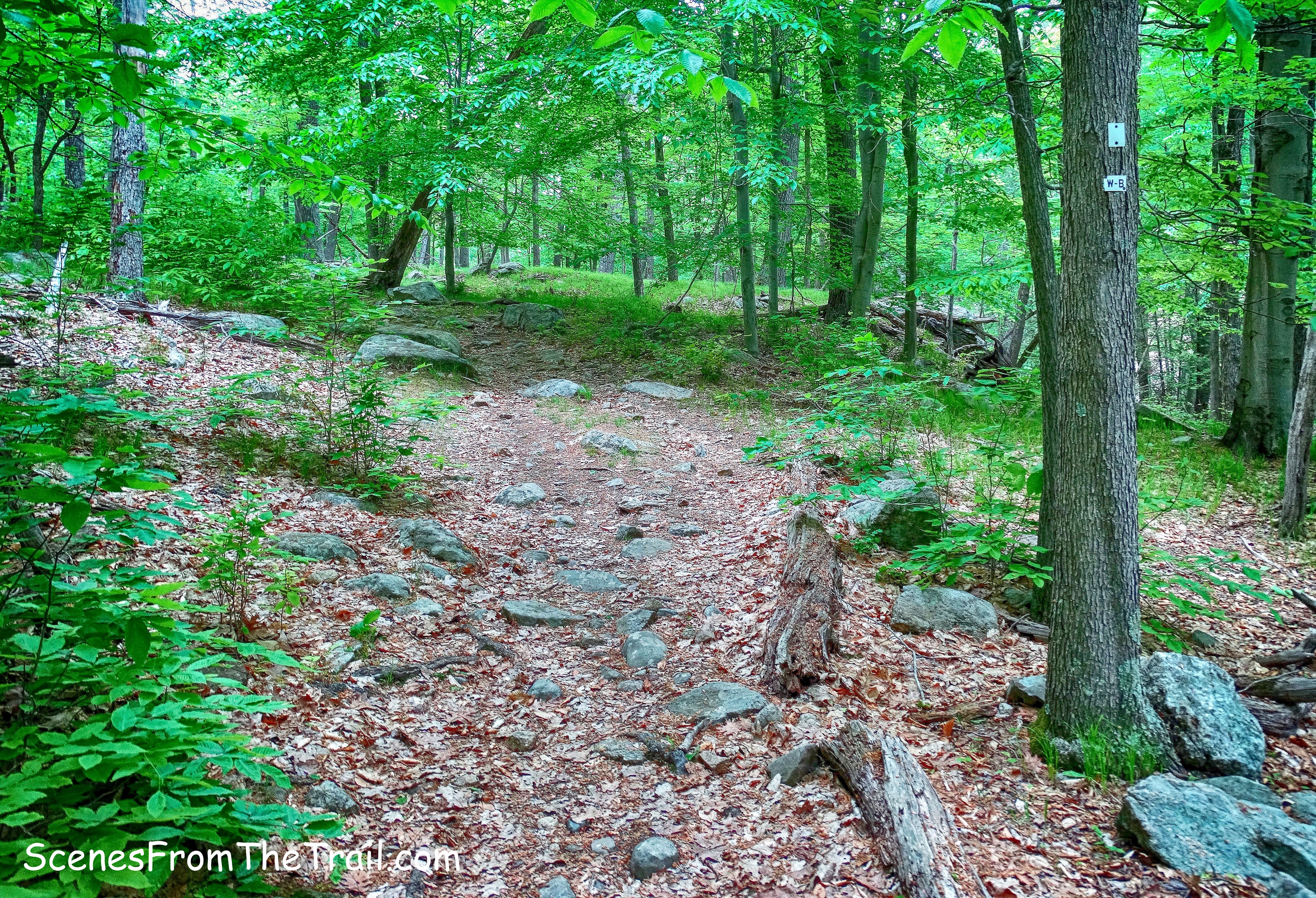 joint White Bar Trail and Nurian Trail