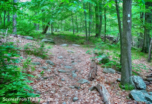 joint White Bar Trail and Nurian Trail