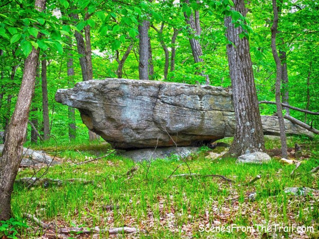 glacial erratic
