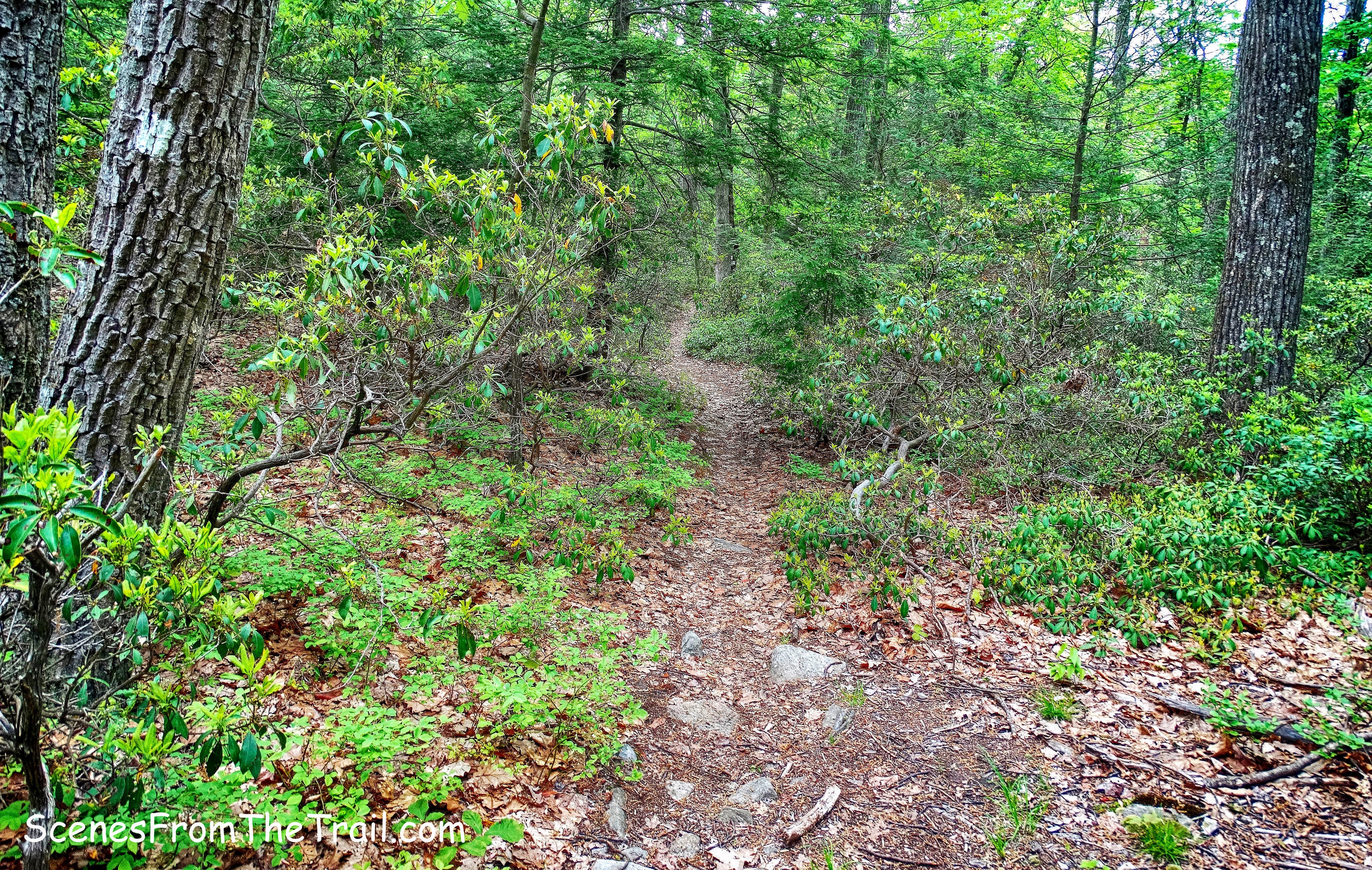 Nurian Trail