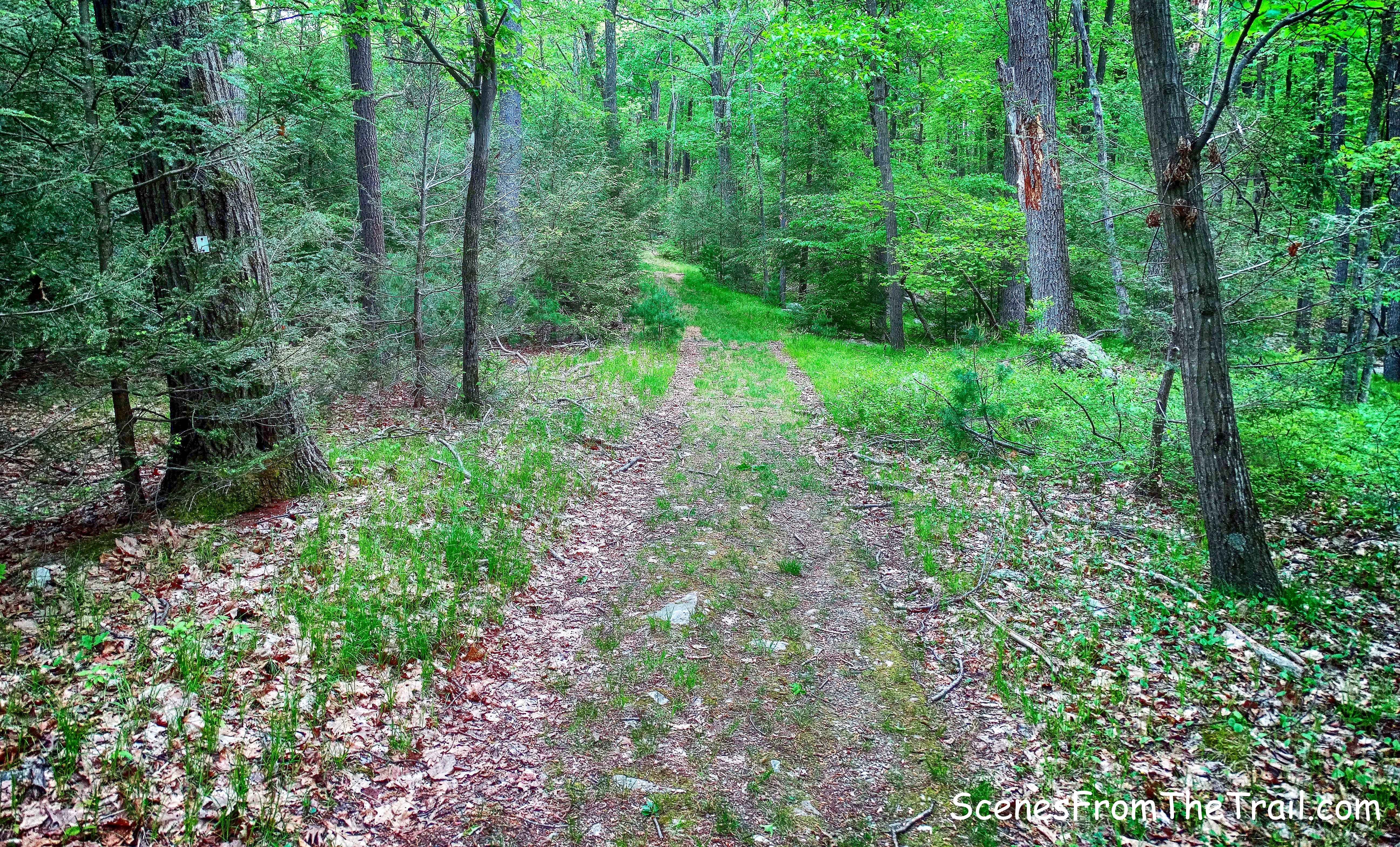 Nurian Trail/Island Pond Road