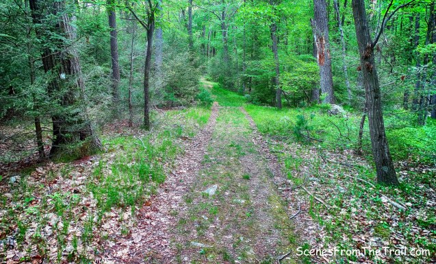 Nurian Trail/Island Pond Road