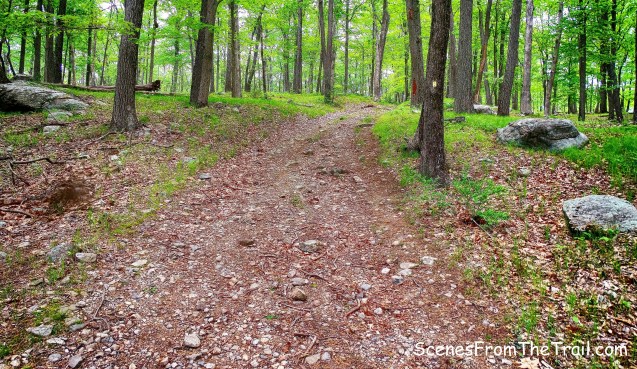 joint Dunning Trail/Island Pond Road