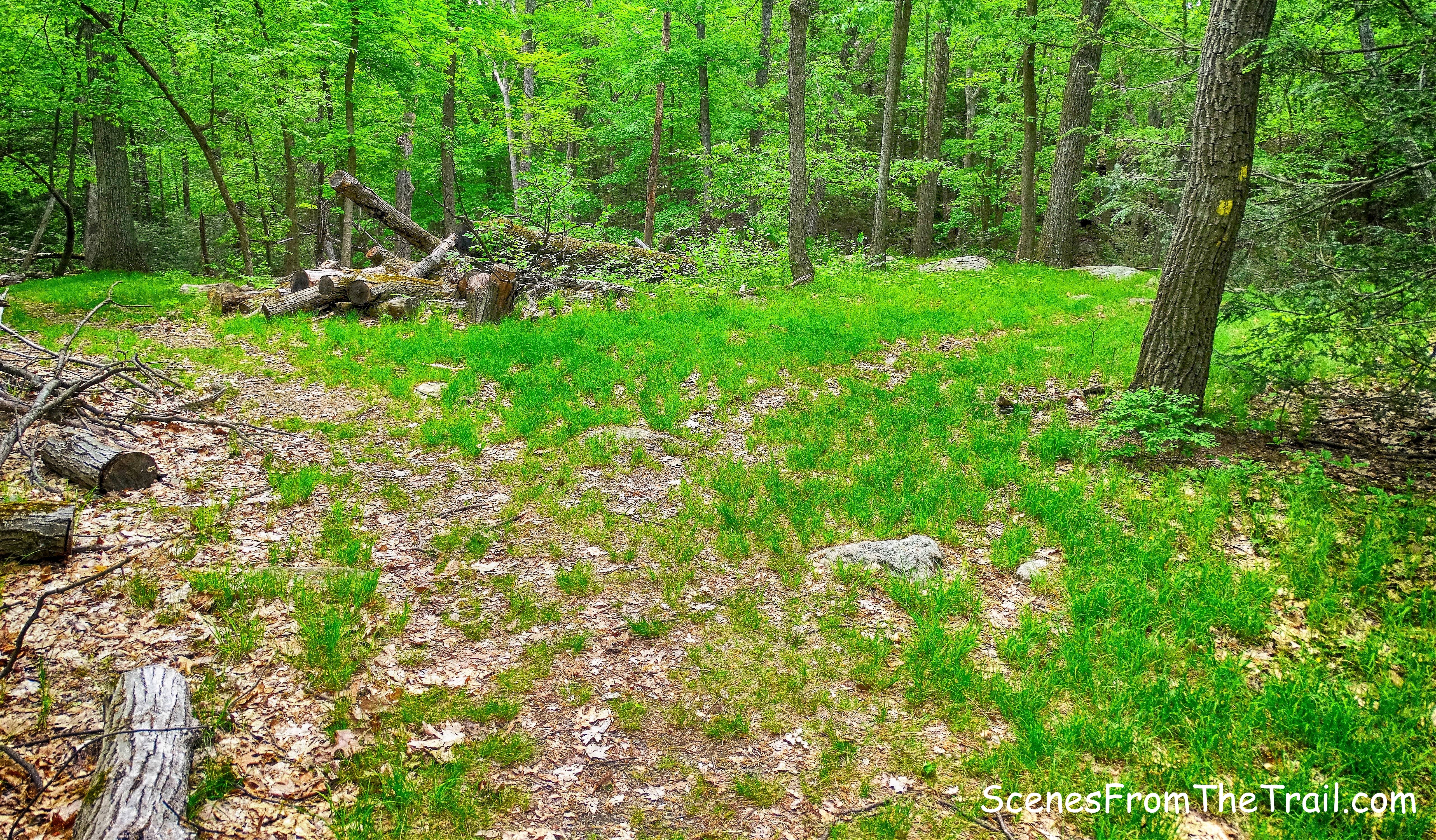 junction - Dunning Trail goes right