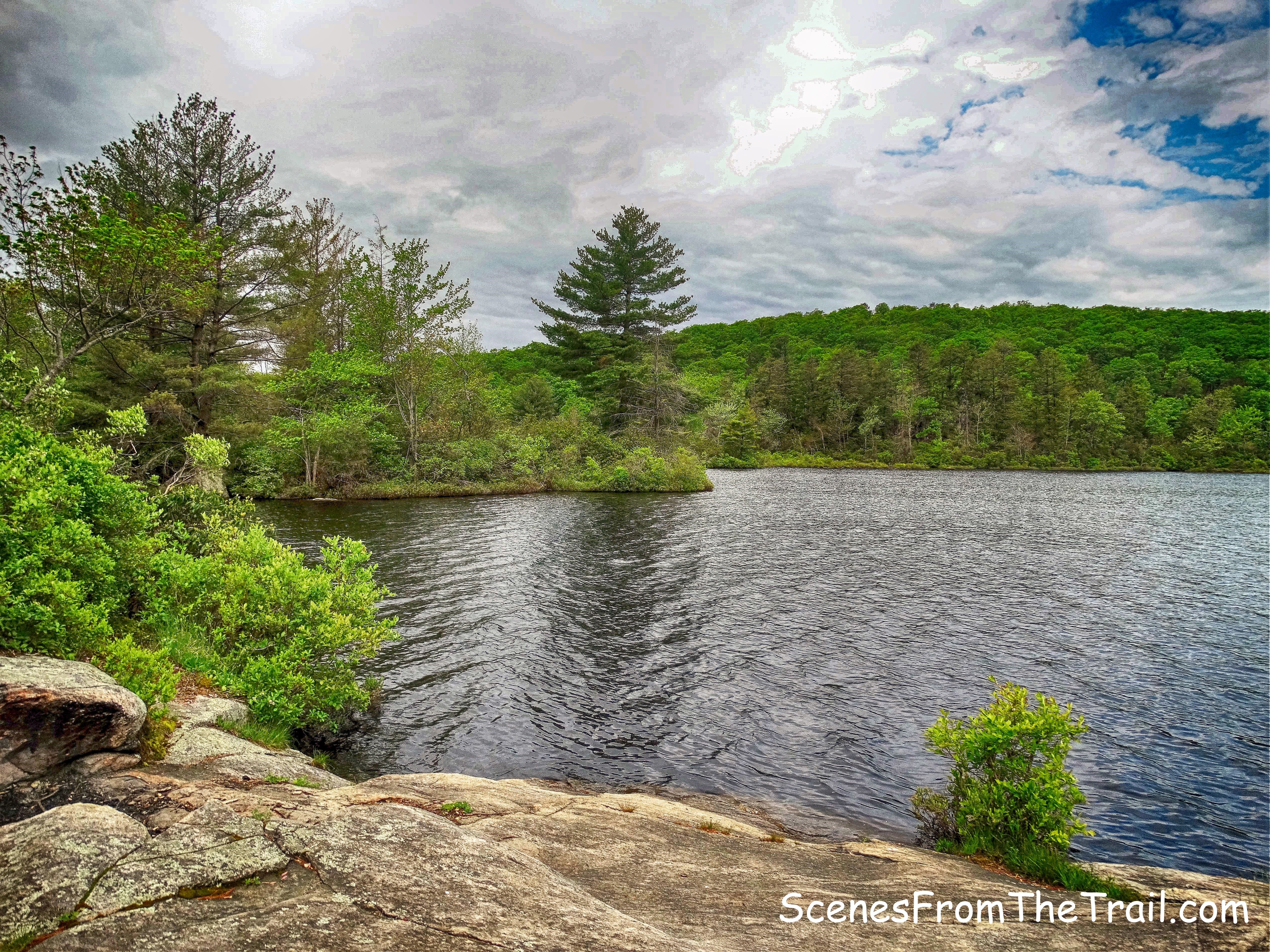 Island Pond