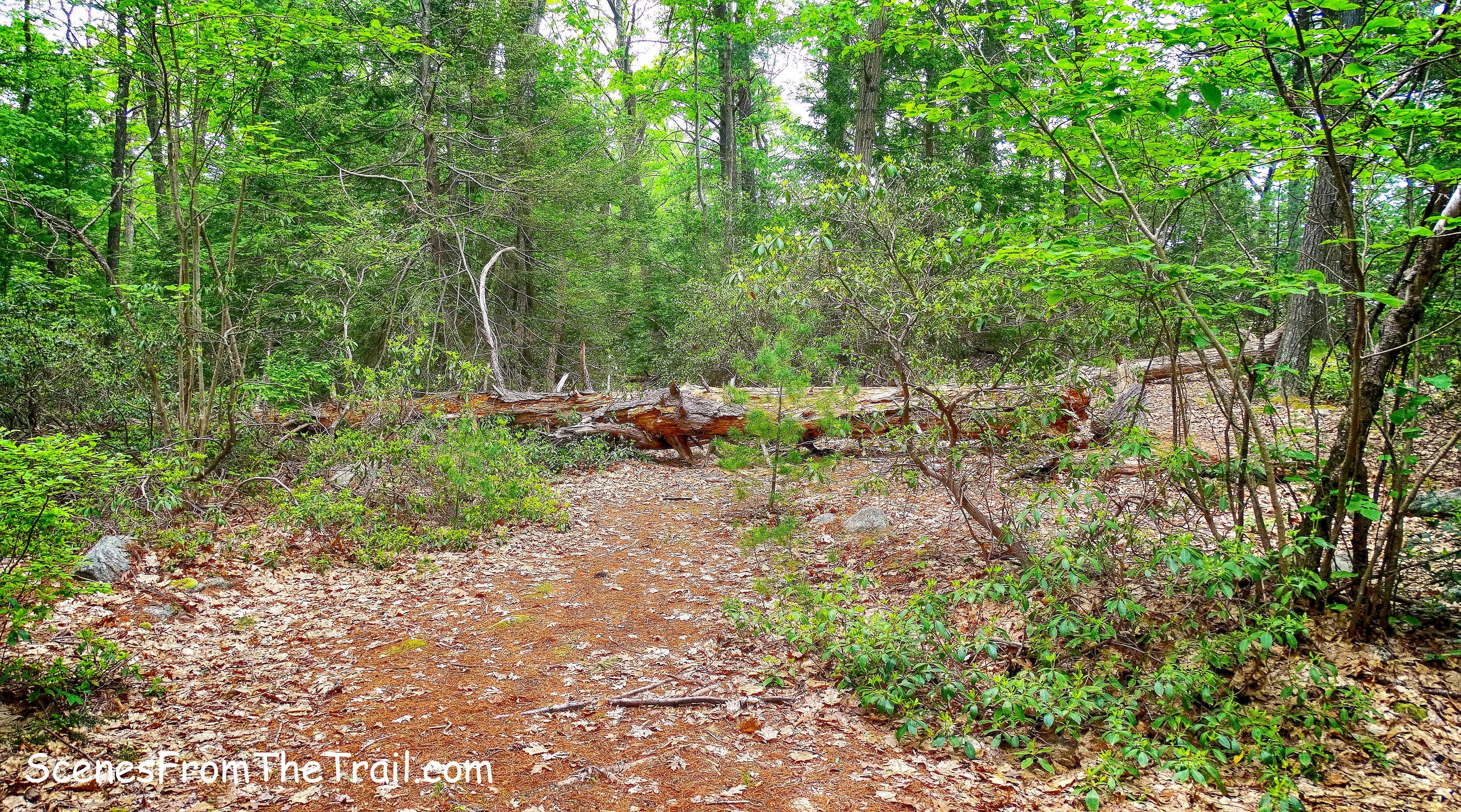 unmarked trail