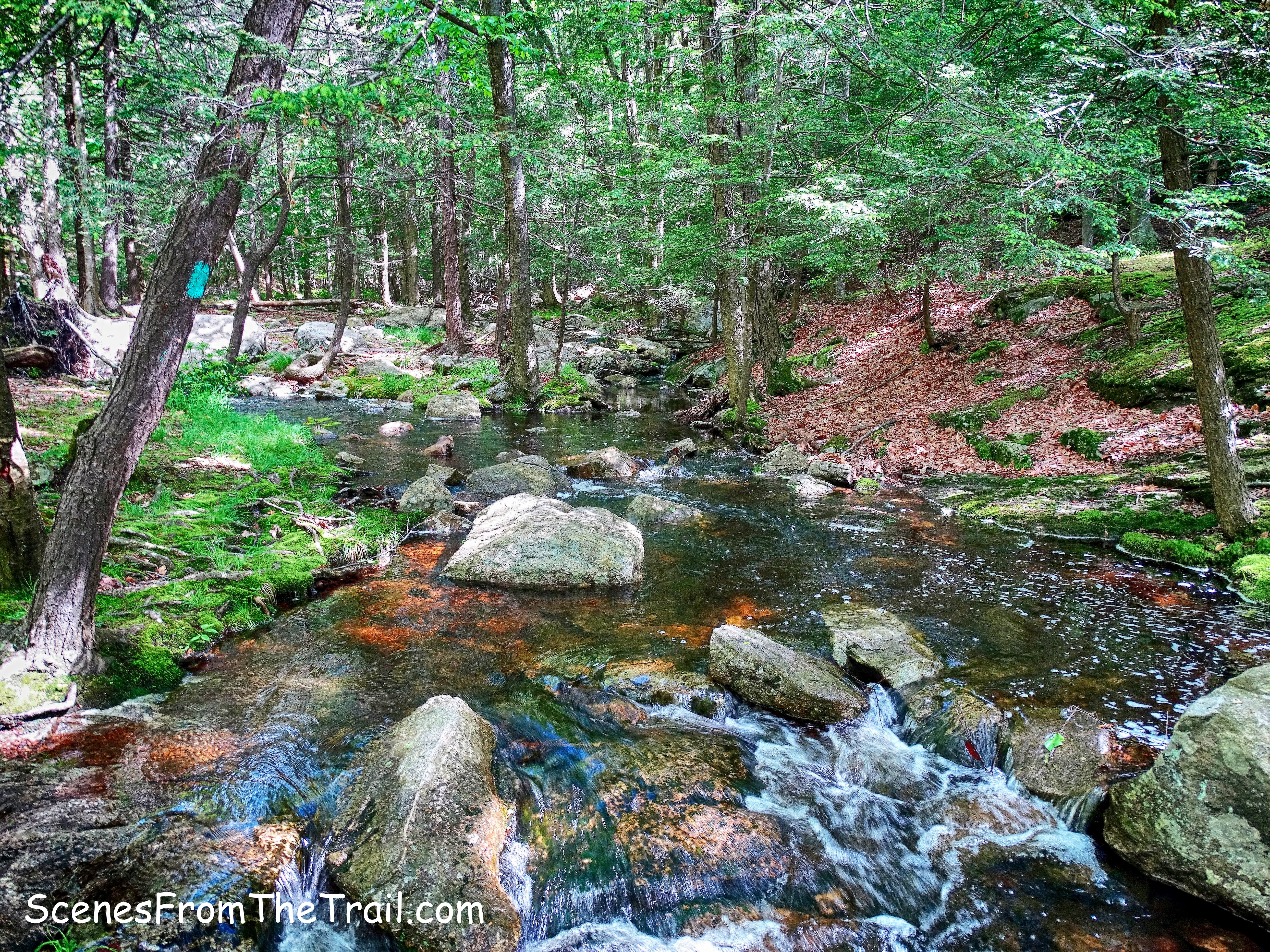 Pine Swamp Brook