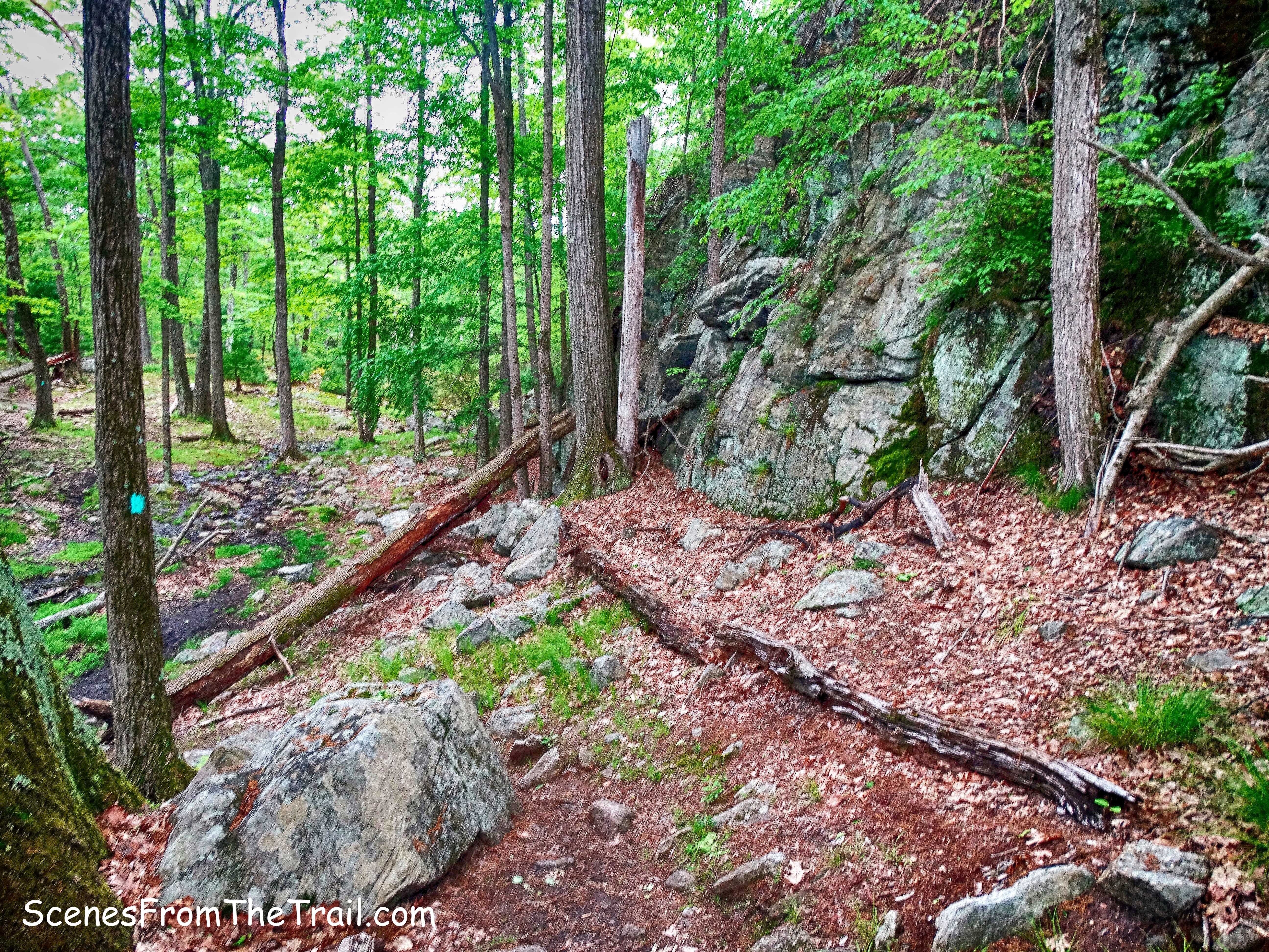 rock formation