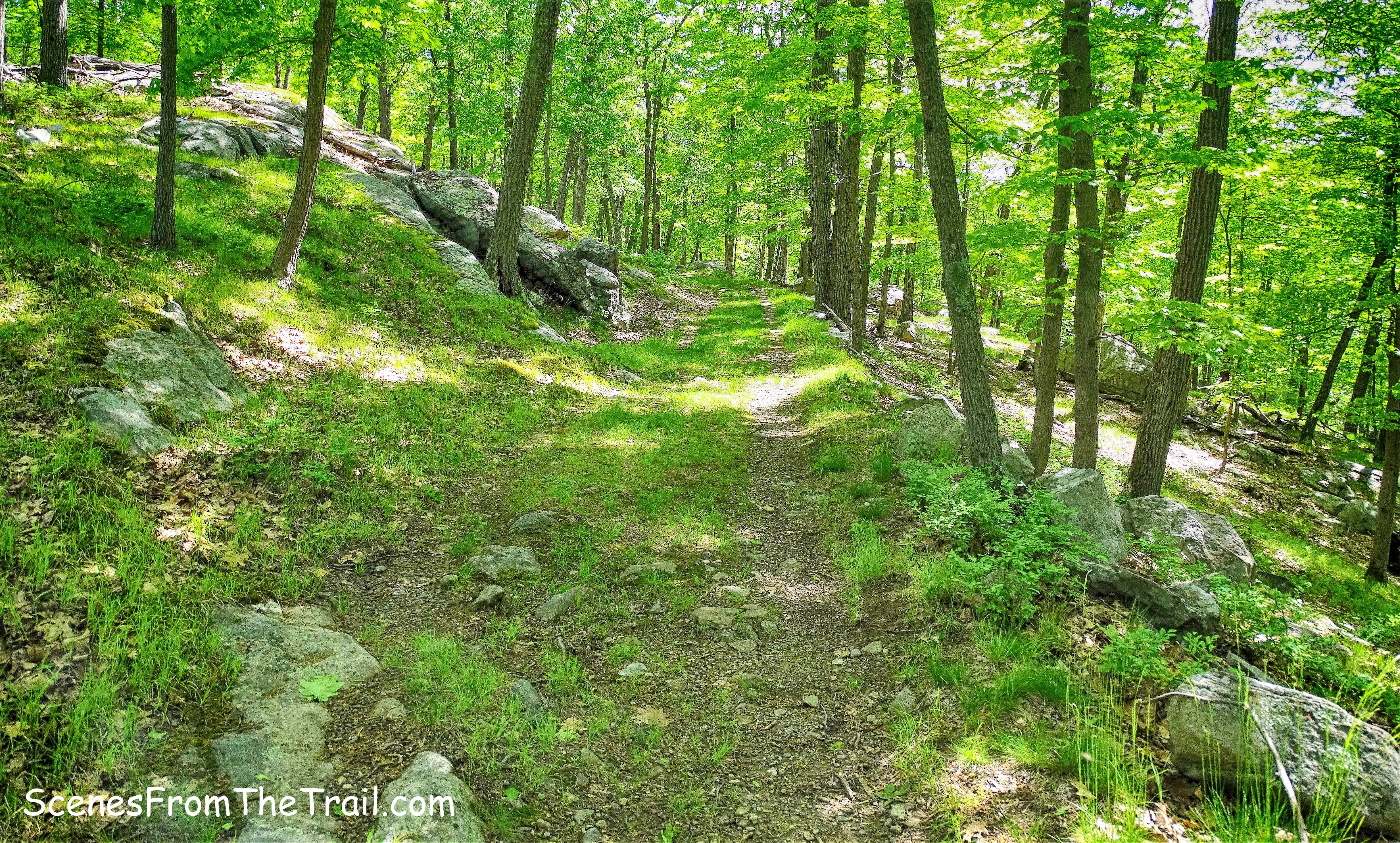 Dunning Trail