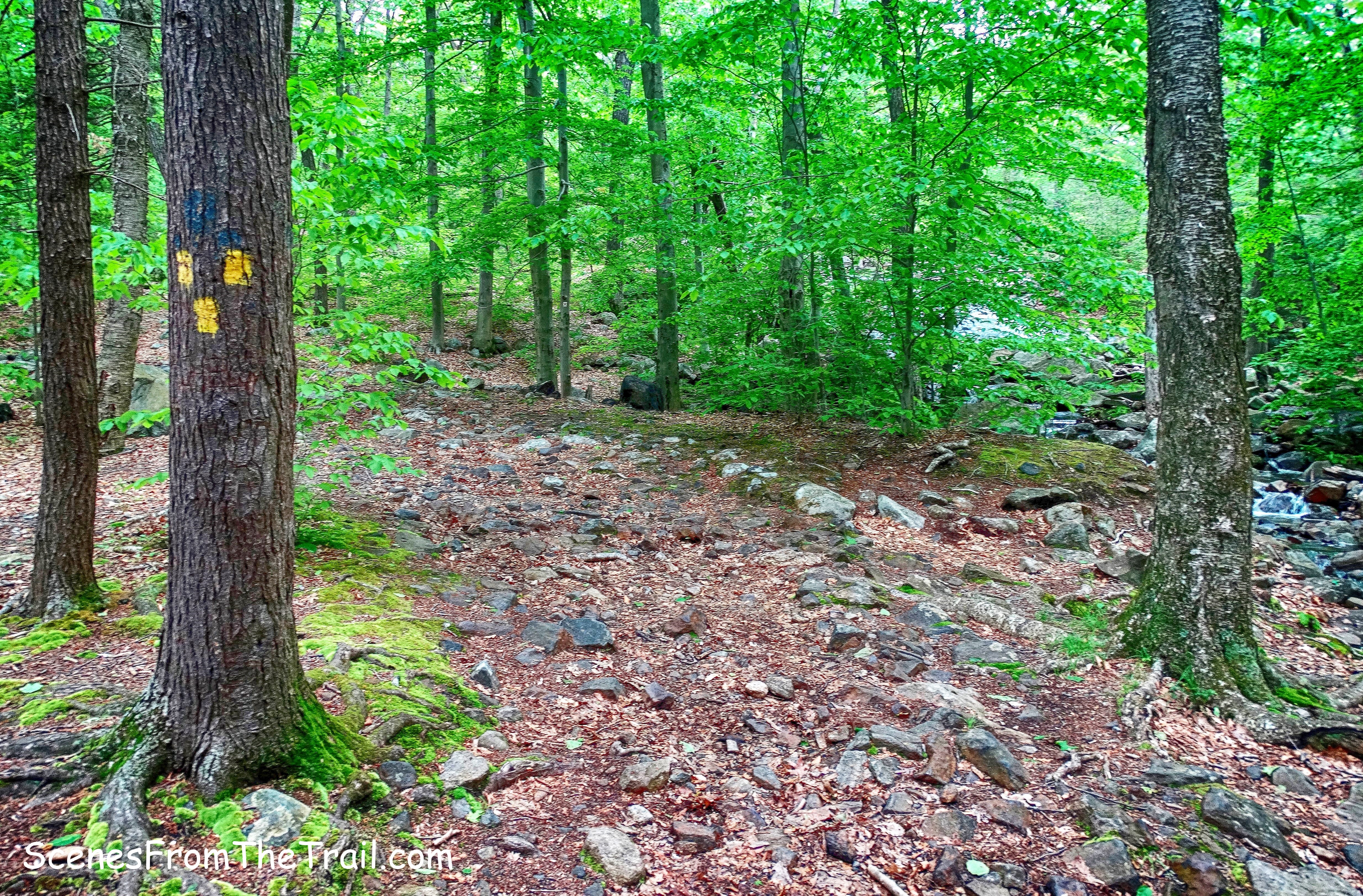 terminus of the Dunning Trail