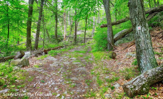 Arden-Surebridge Trail