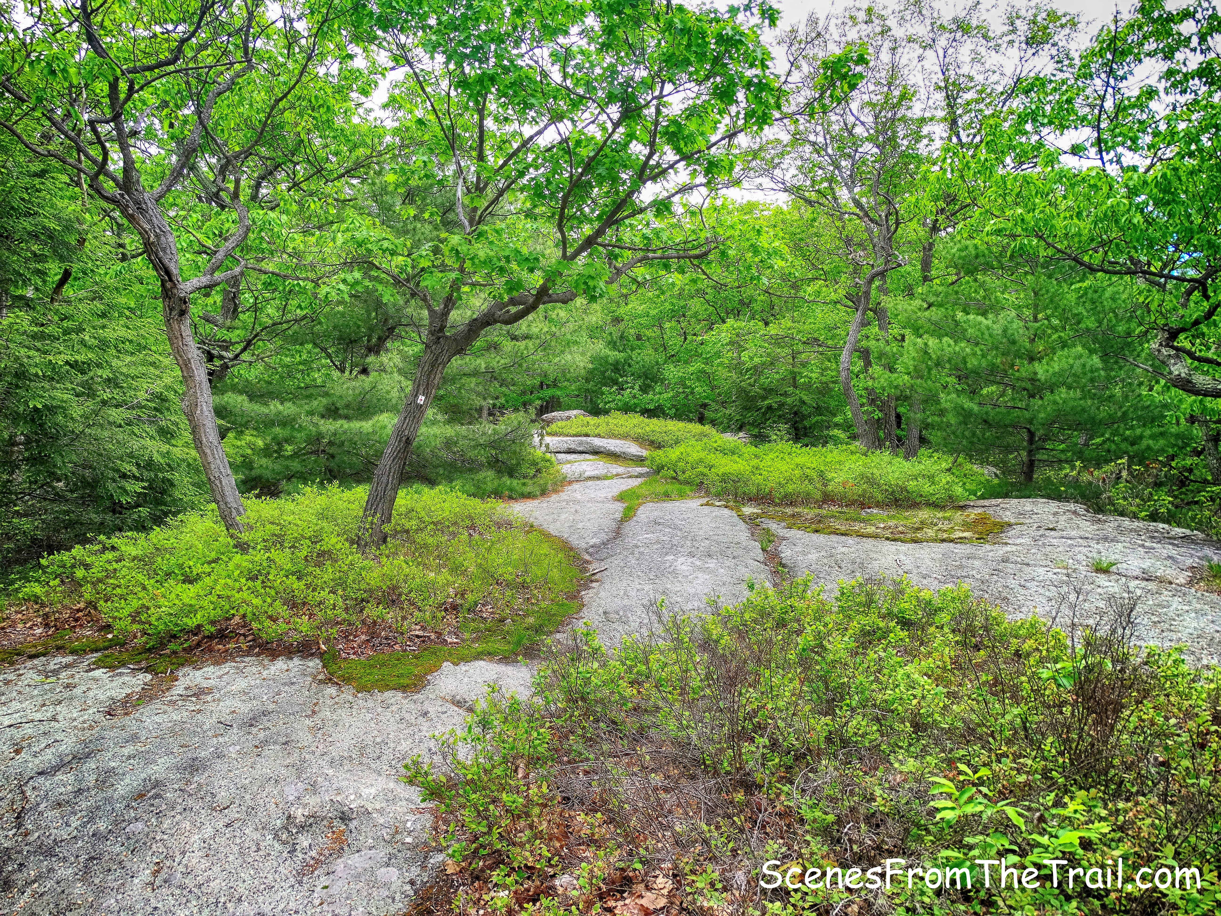Ramapo-Dunderberg Trail