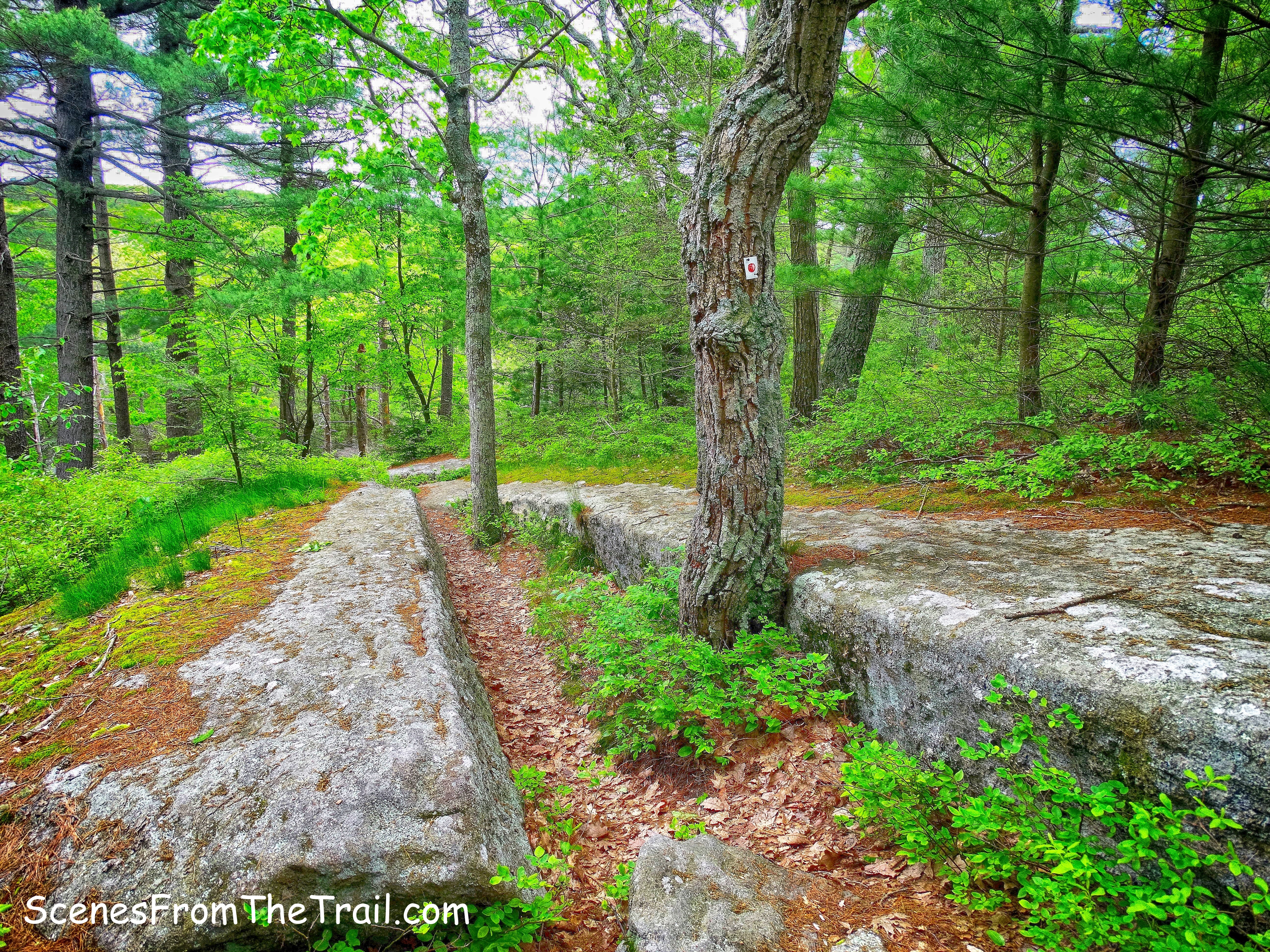 Ramapo-Dunderberg Trail