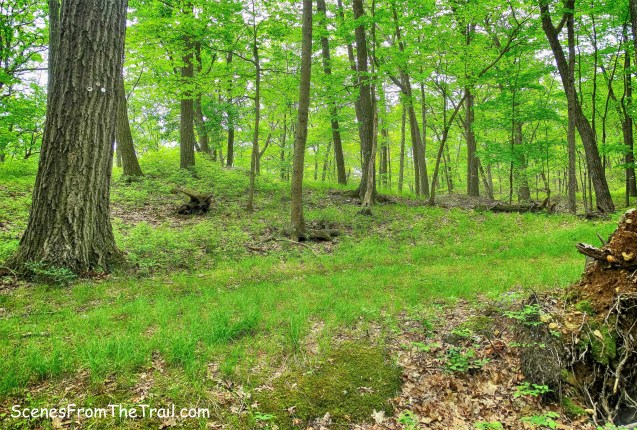 Bottle Cap Trail terminus