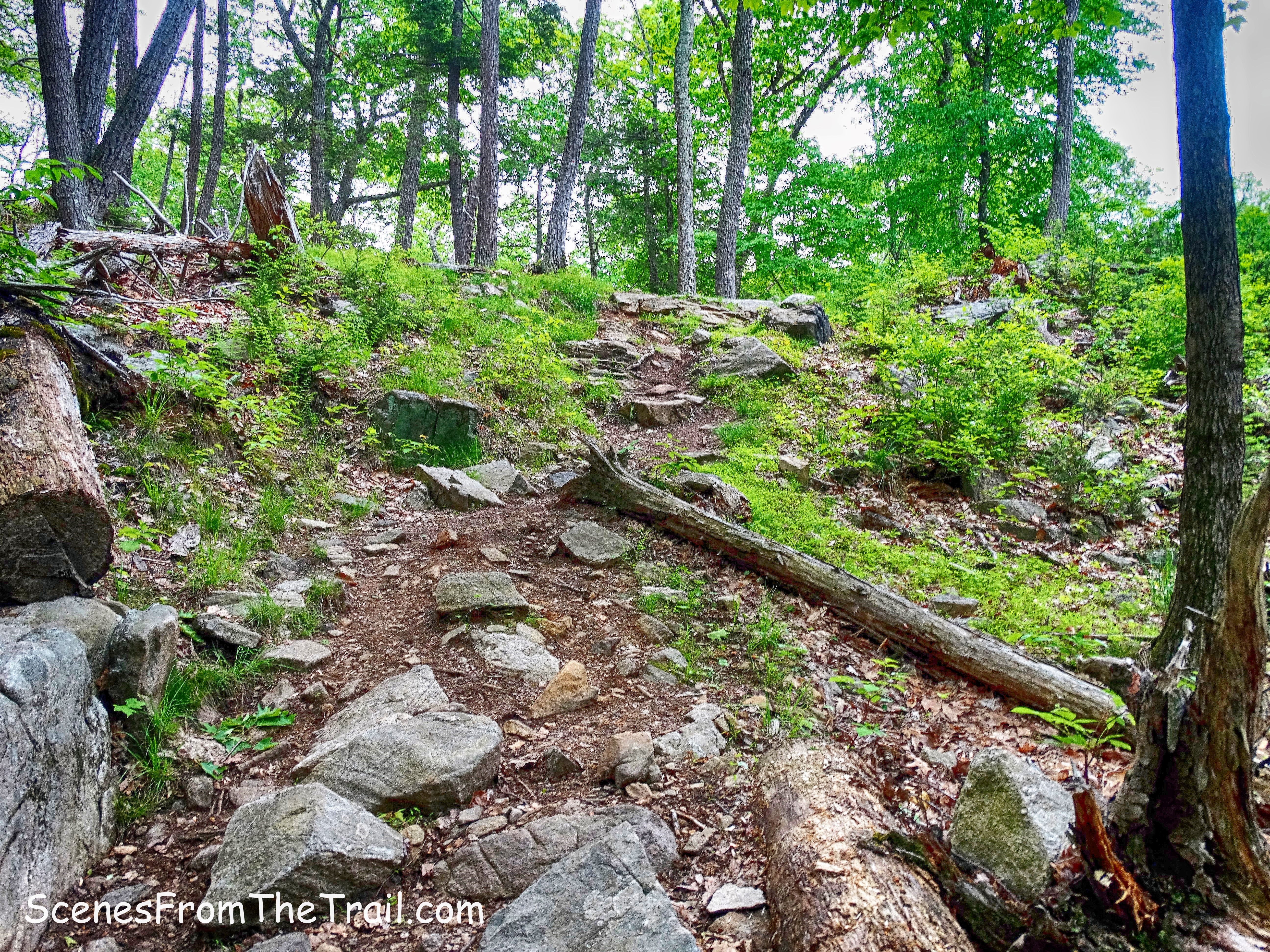 Arden-Surebridge Trail