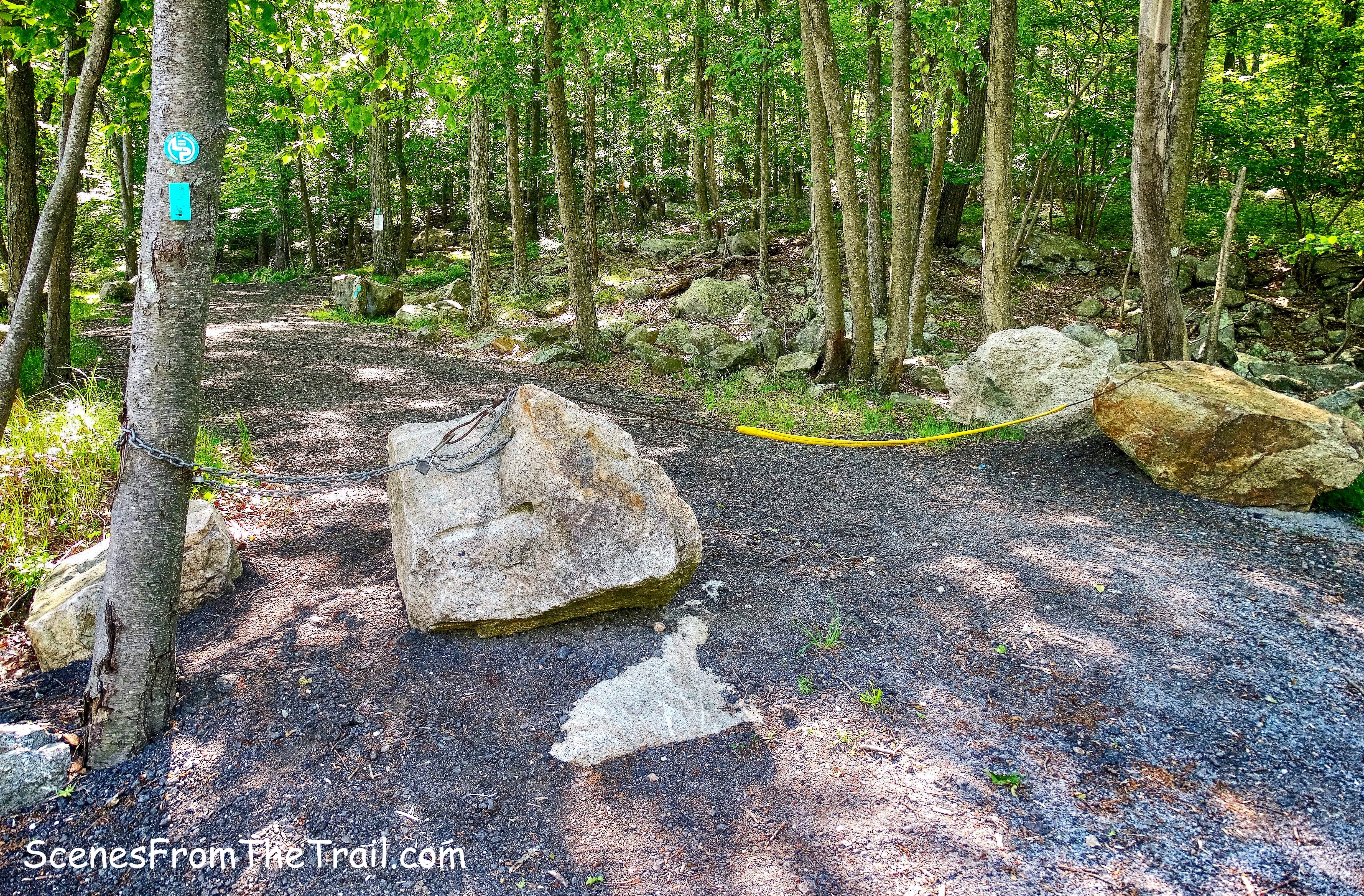 the Long Path