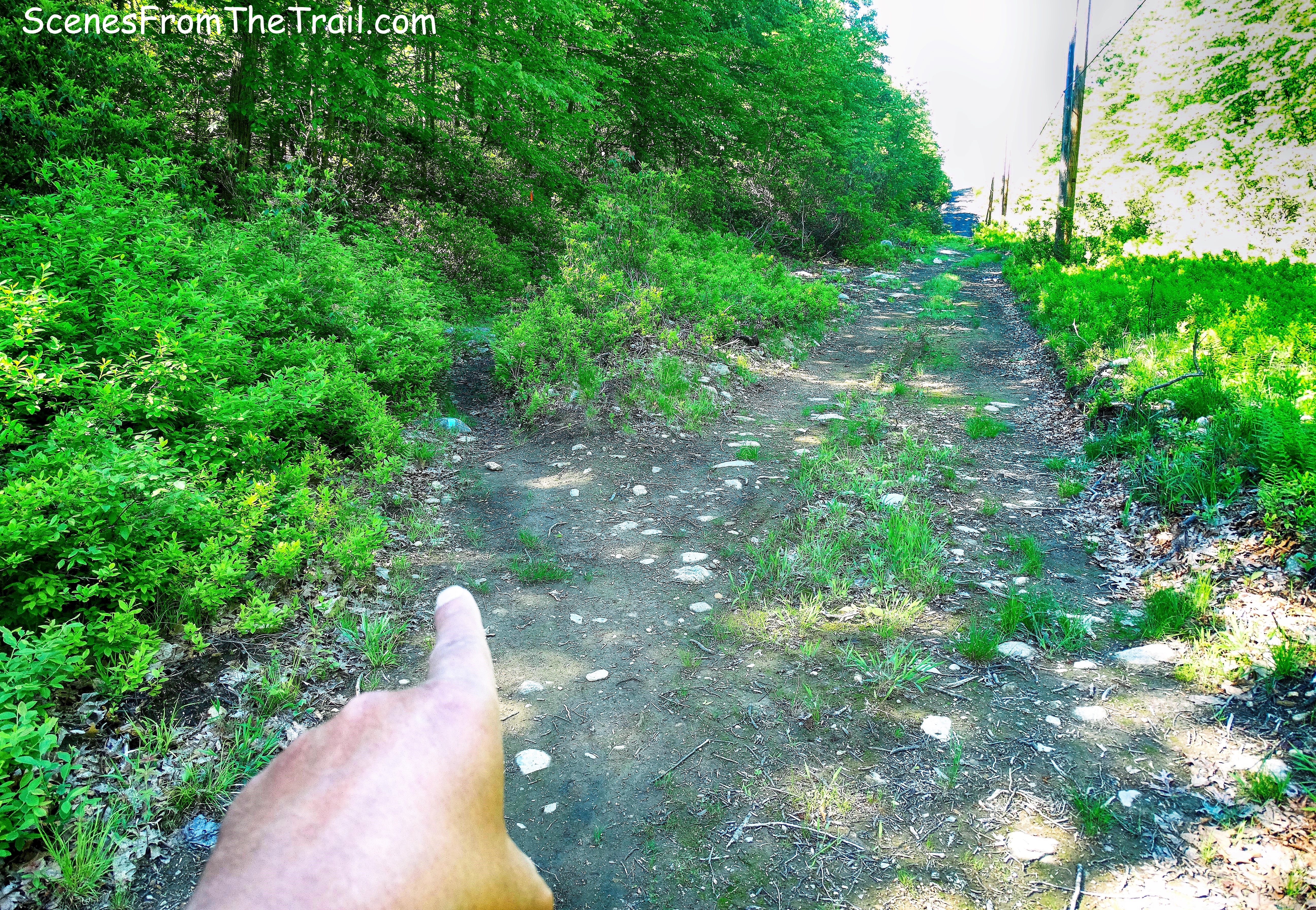 the Long Path