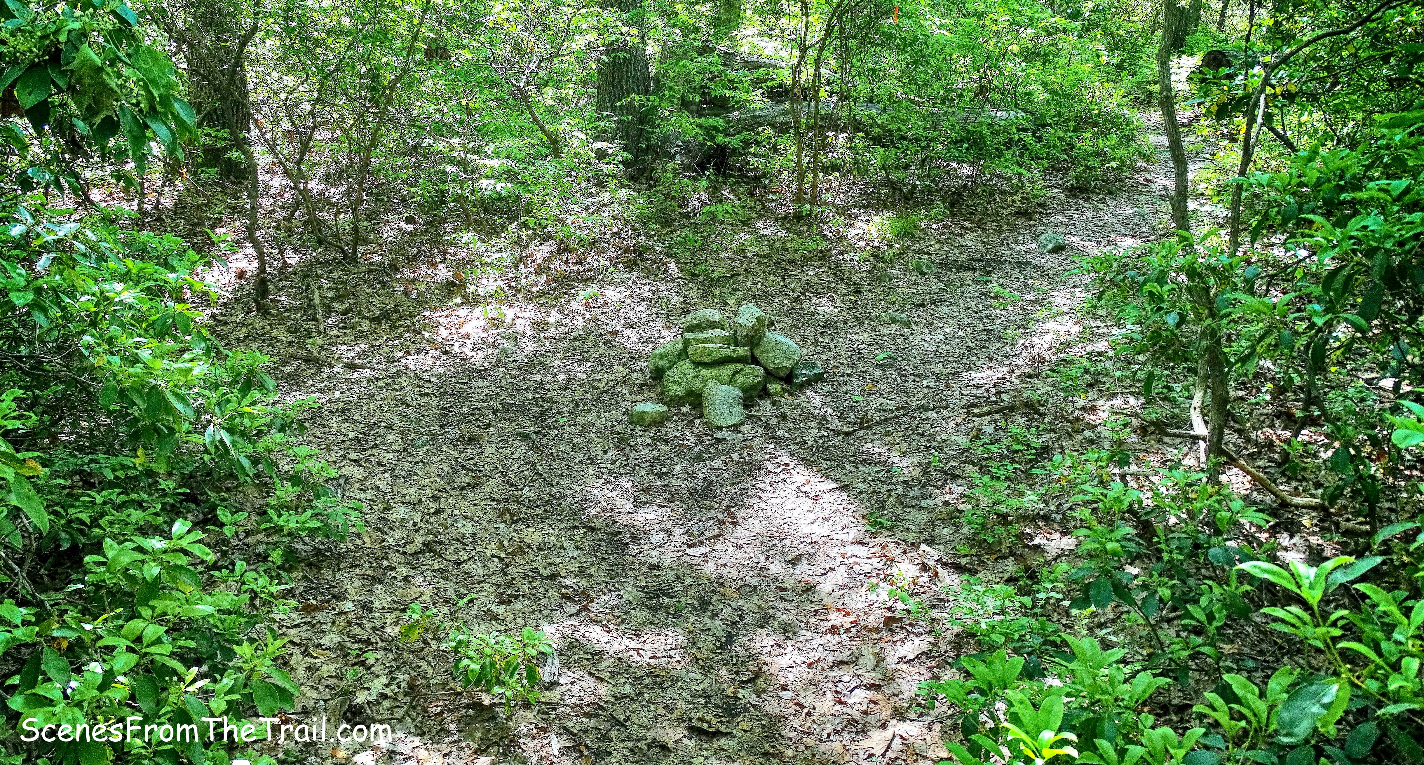 cairn at the Long Path/Beech Trail junction
