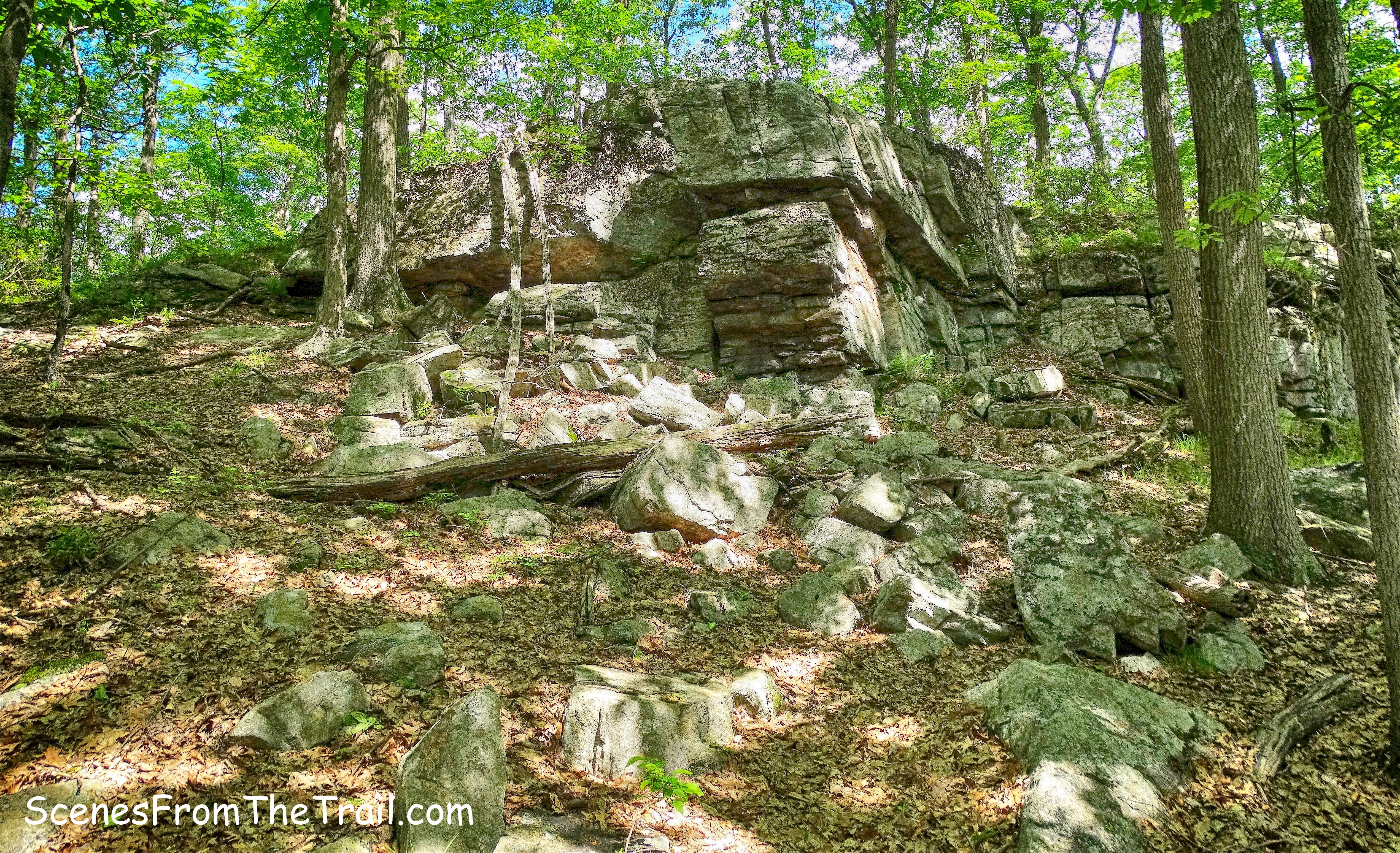 Beech Trail