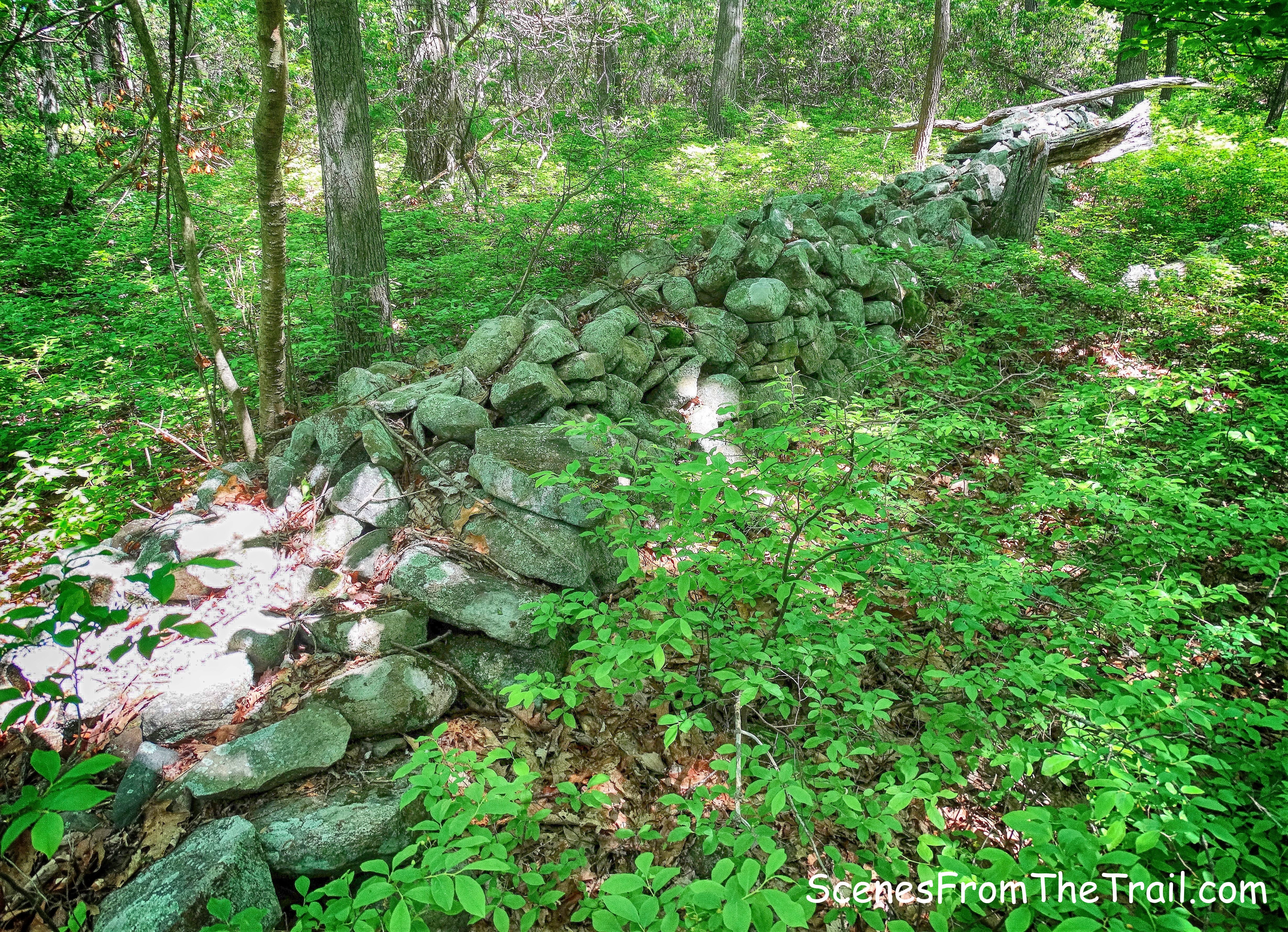 Beech Trail