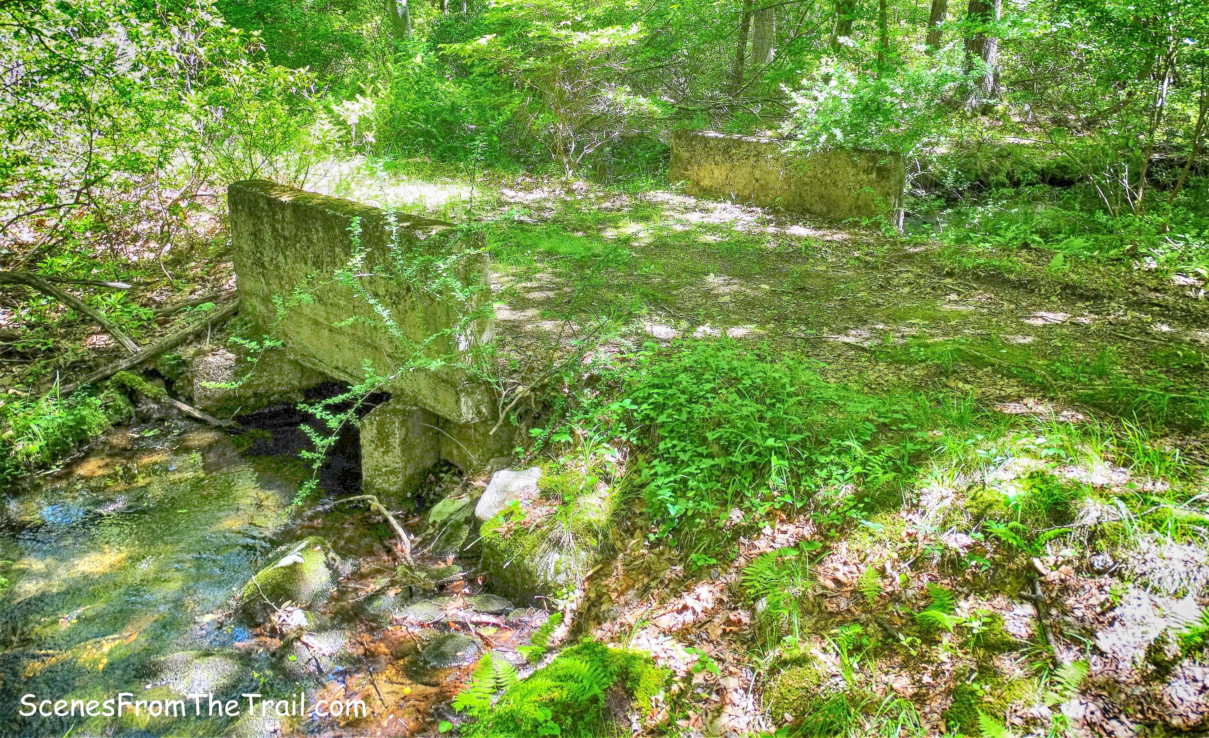 concrete bridge on Hasenclever Road