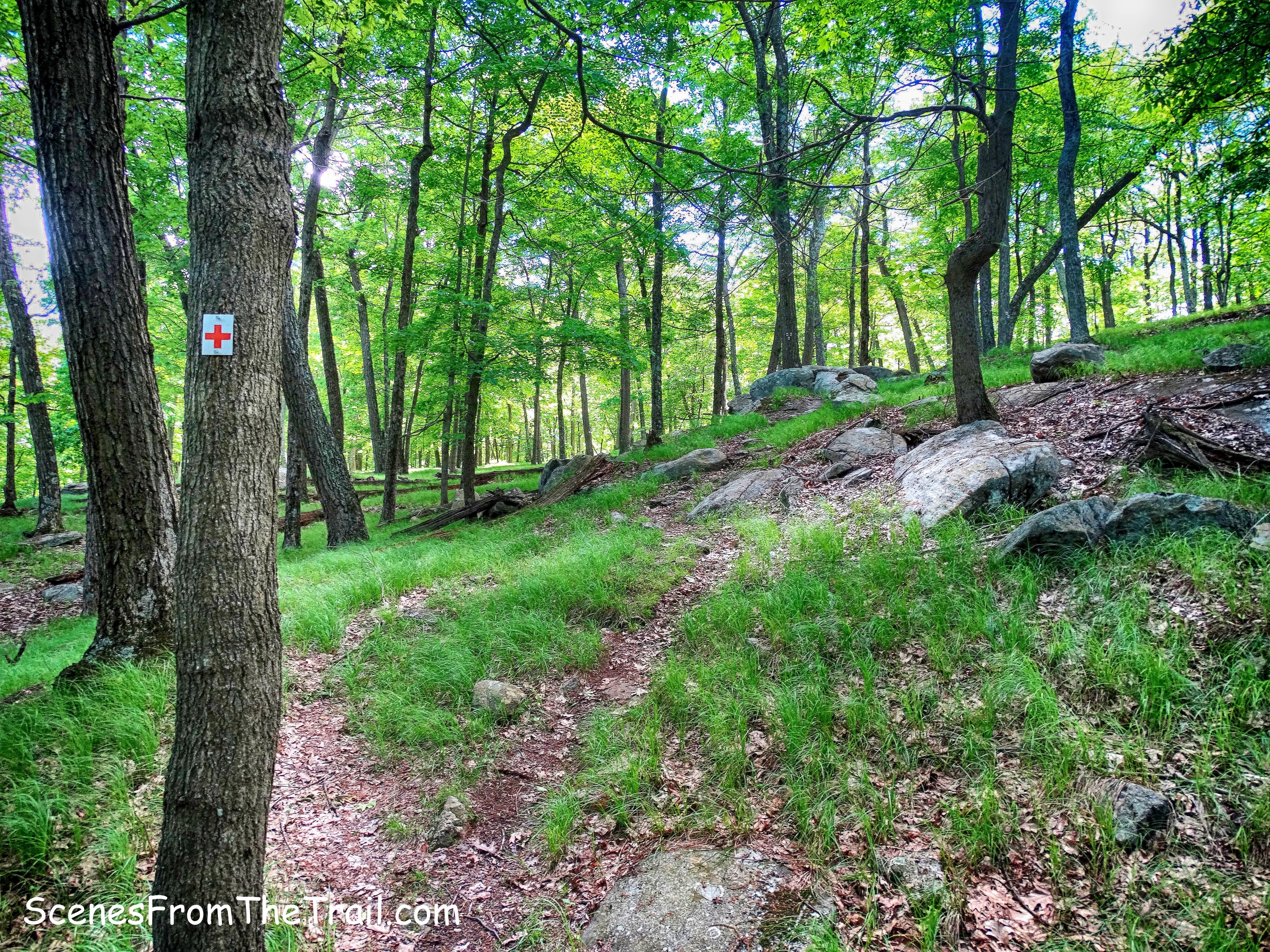 Red Cross Trail