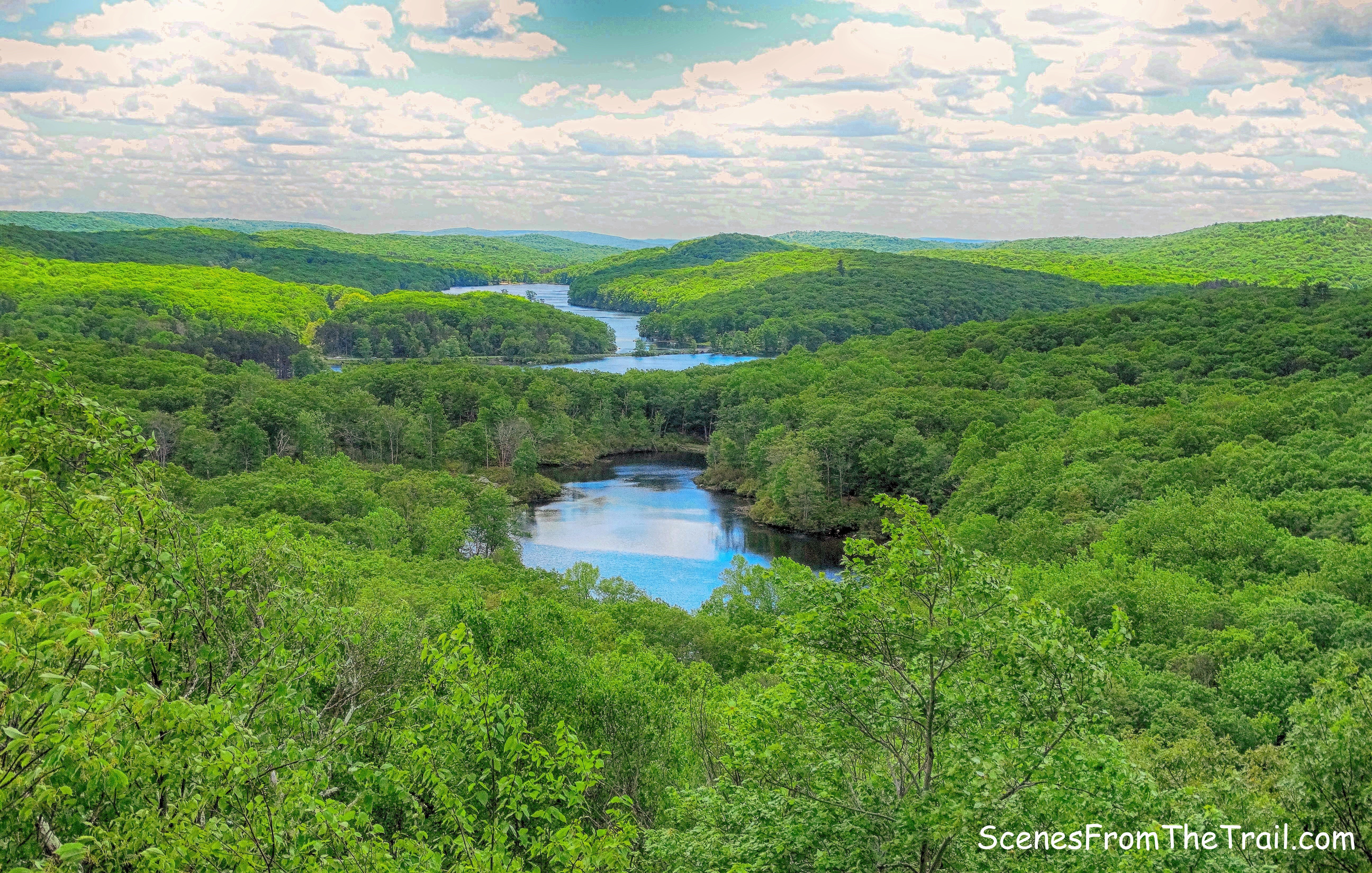 Lake Skanatati and Lake Kanawauke as viewed from Pine Swamp Mountain